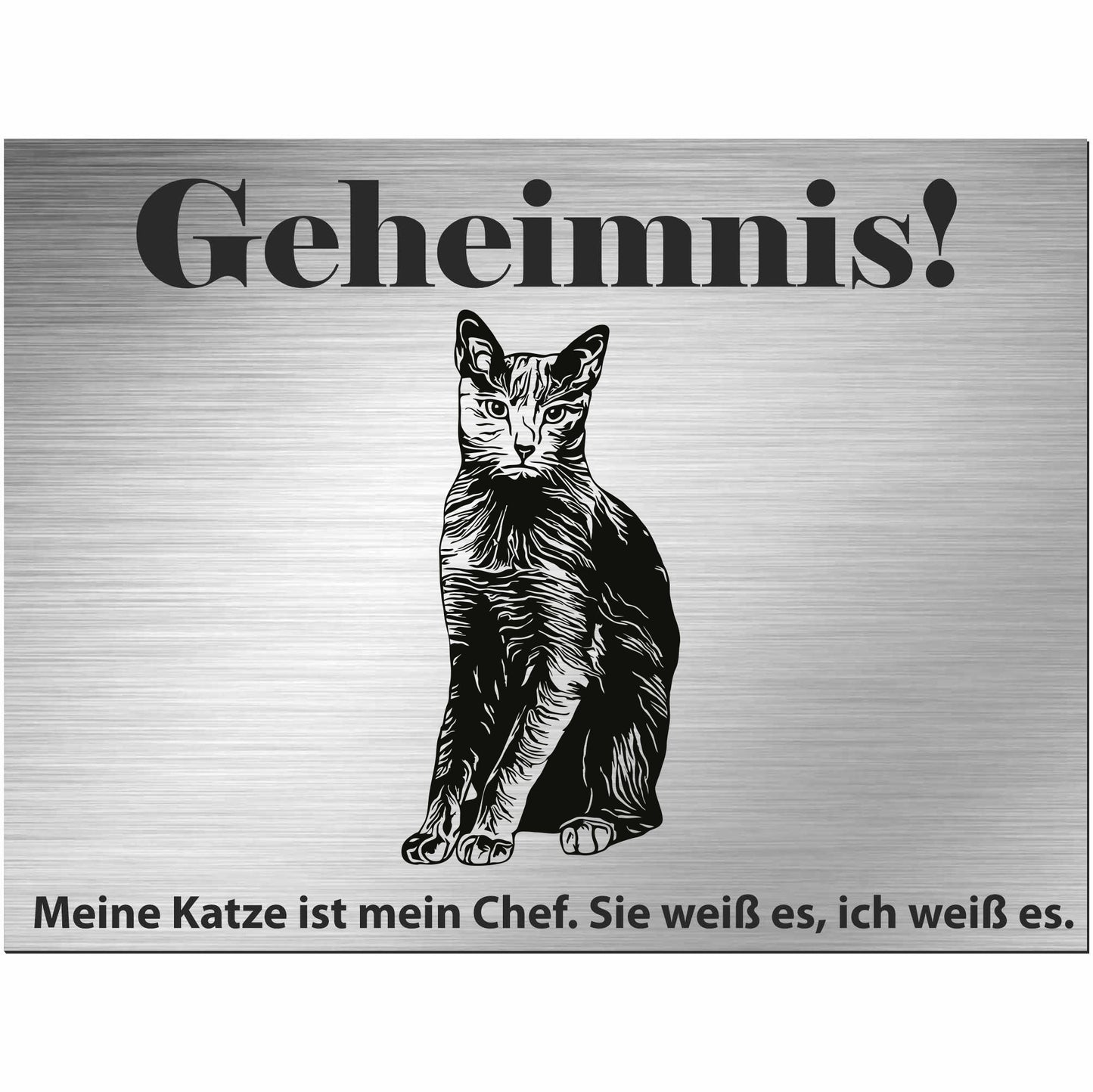 Russische blau Katze - Schild bedruckt - Spruch - Deko Geschenkidee