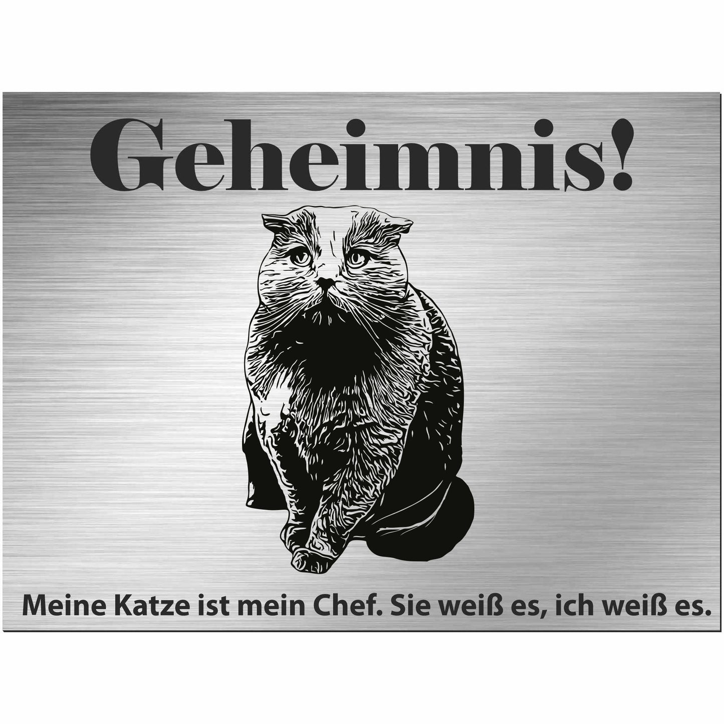 Schottische Faltohrkatze Faltkatze - Schild bedruckt - Spruch - Deko Geschenkidee