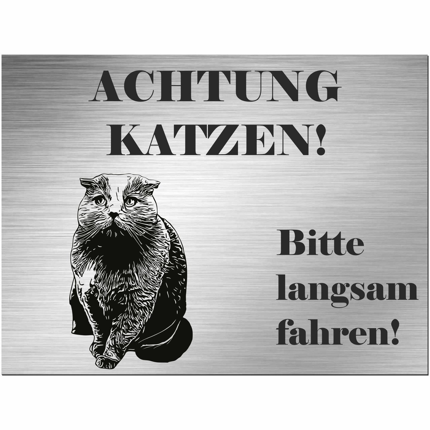 Schottische Faltohrkatze Faltkatze - Schild bedruckt - Spruch - Deko Geschenkidee