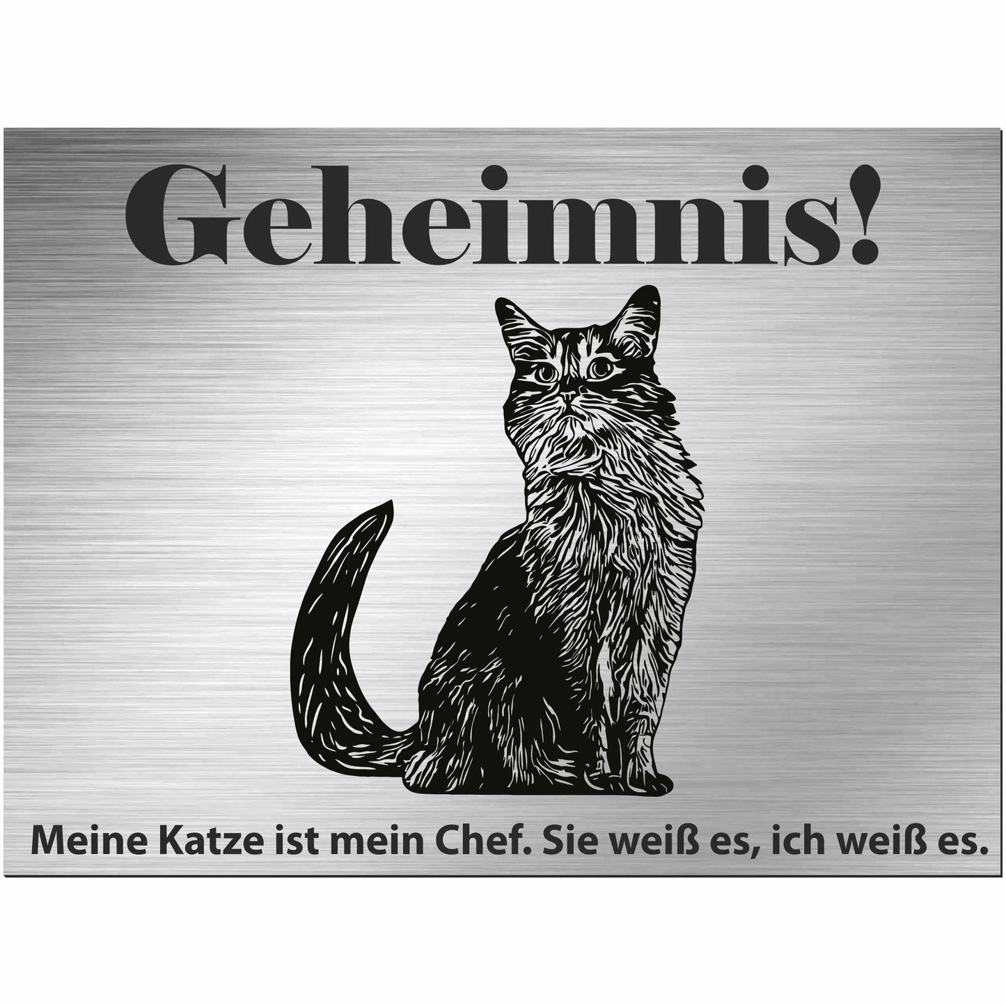 Somalische Katze - Schild bedruckt - Spruch - Deko Geschenkidee