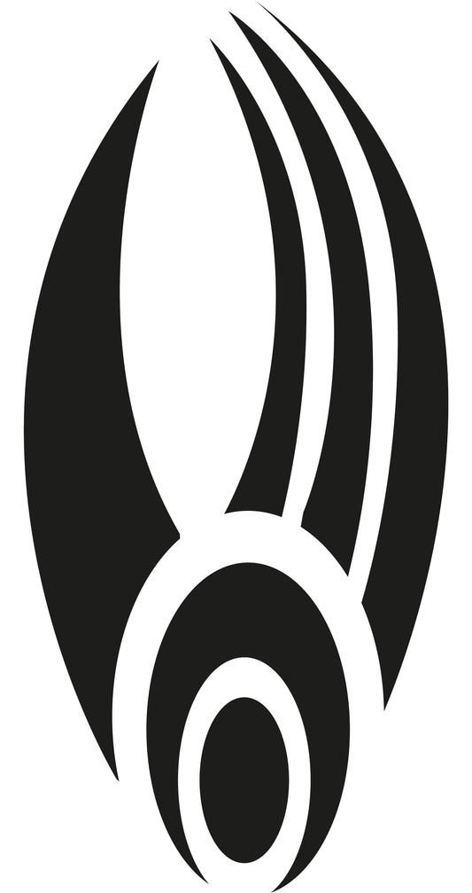 Autoaufkleber - Borg Symbol - 210x100 mm