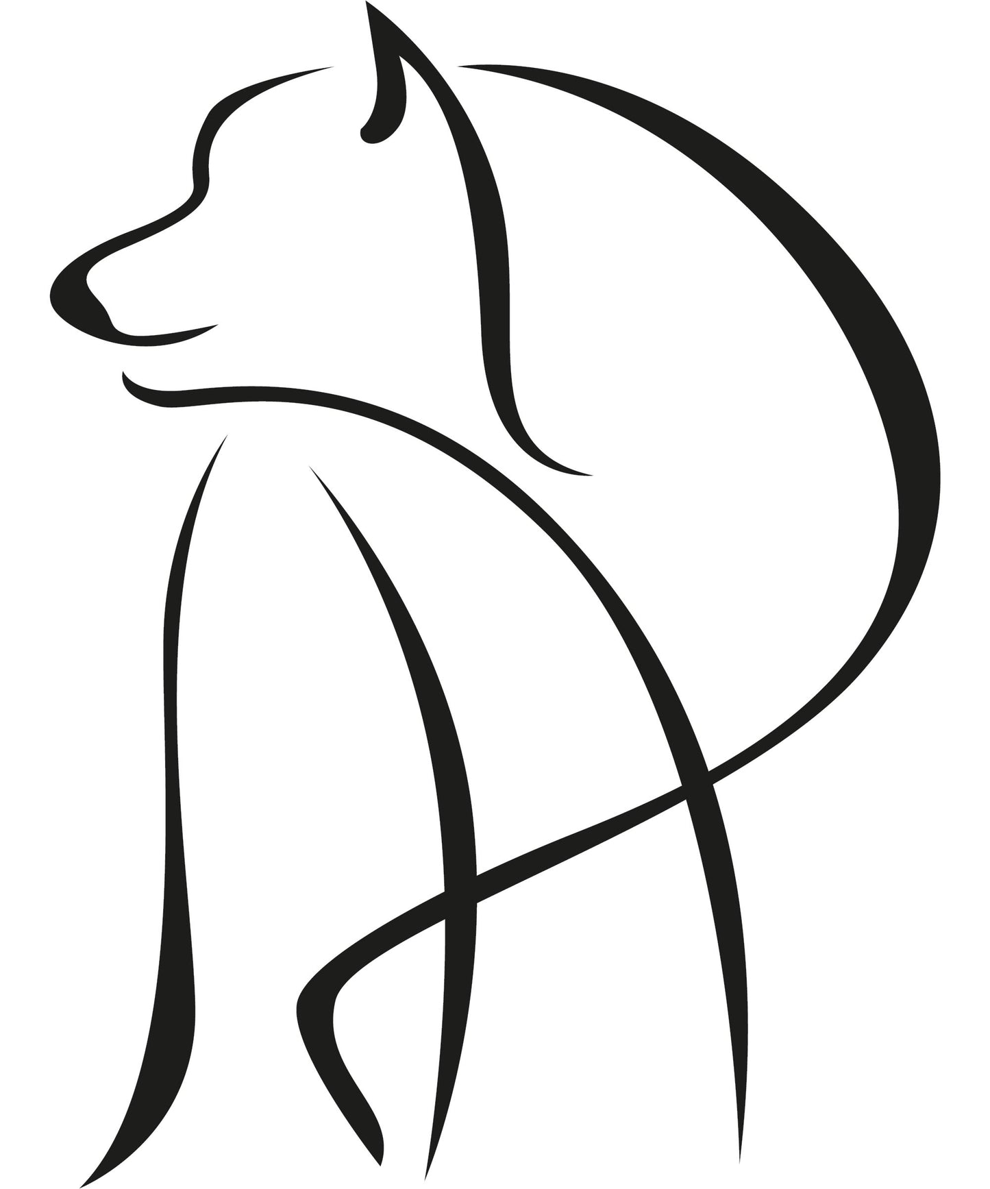 Autoaufkleber - Hund 120x90mm