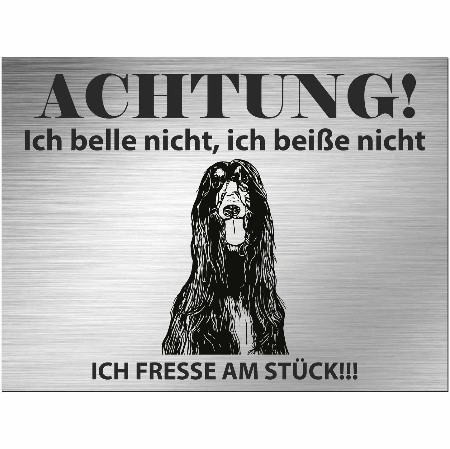 Afghanischer Windhund - Schild bedruckt - Alu-Dibond Edelstahl Look