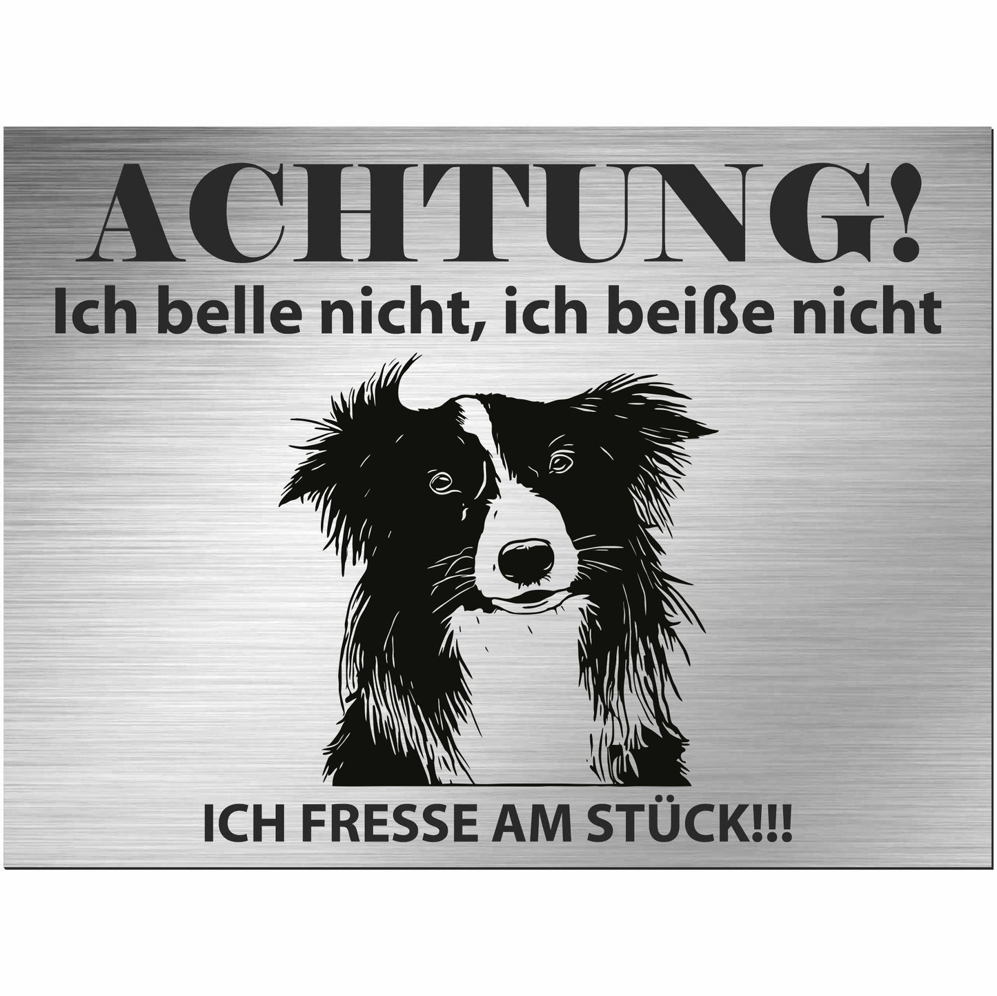 Border Collie - Schild bedruckt - Alu-Dibond Edelstahl Look