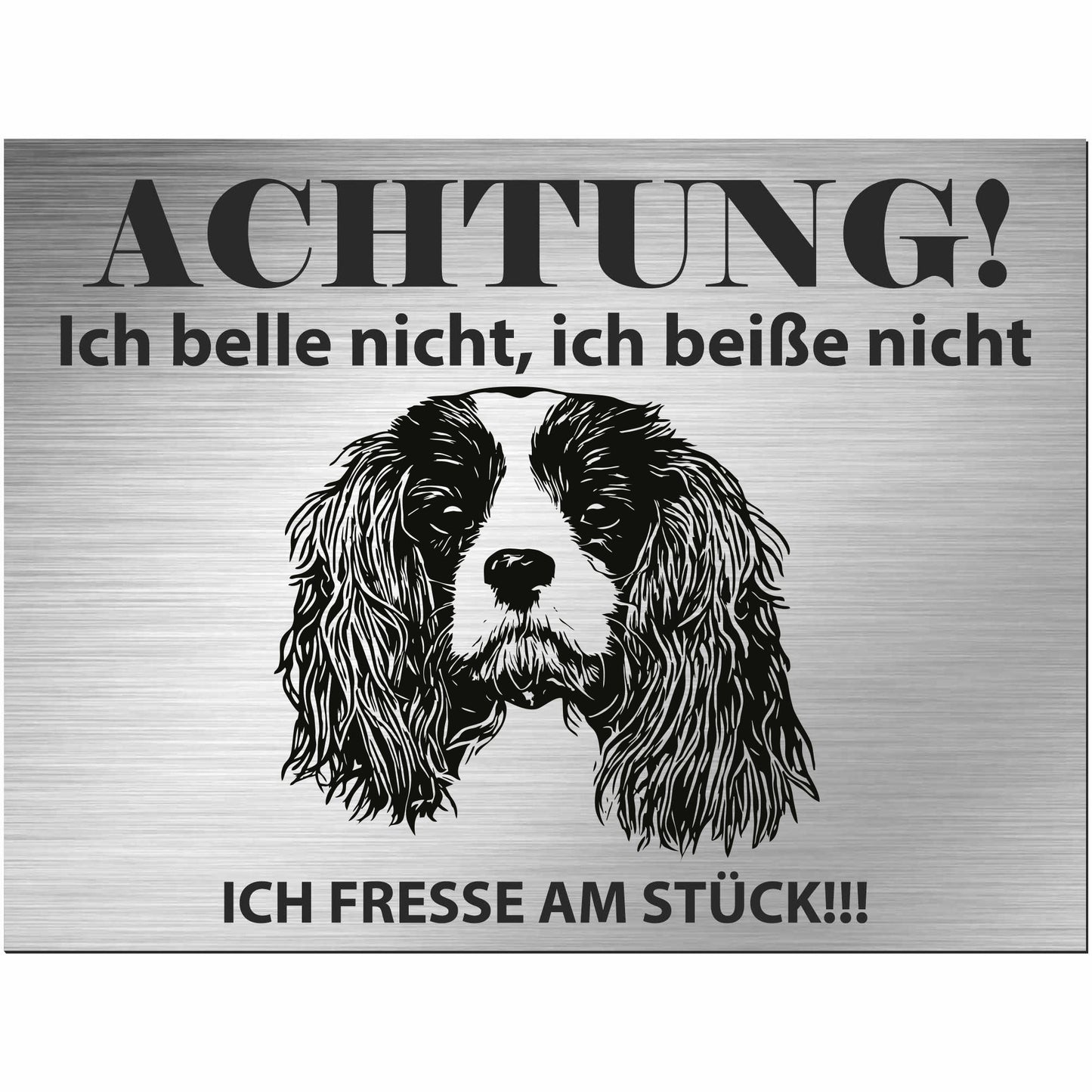 Cavalier King Charles Spaniel - Schild bedruckt - Alu-Dibond Edelstahl Look