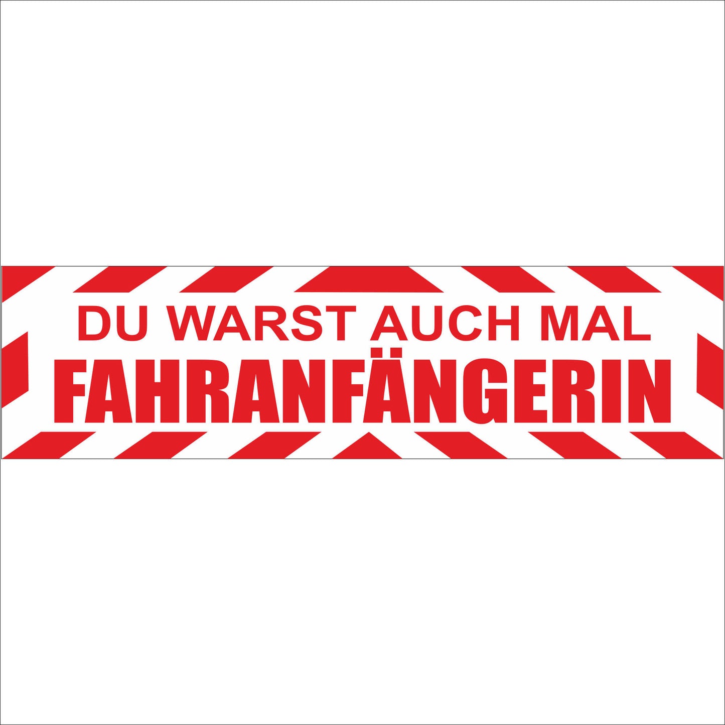 INDIGOS UG - Magnetschild "Du warst auch mal FAHRANFÄNGERIN" genderkonform - Magnetfolie