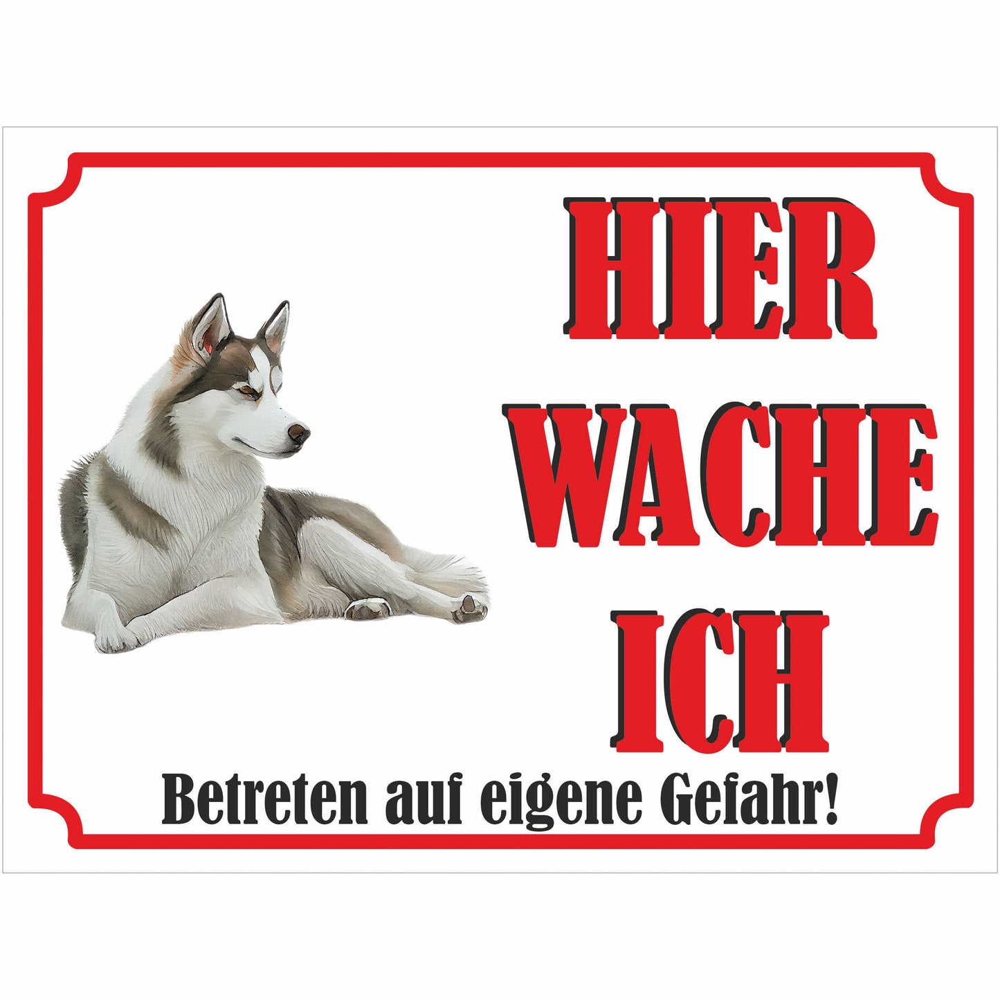 Sibirischer Husky - Schild bedruckt - Hier wache ich - Aluverbundplatte Edelstahl Look