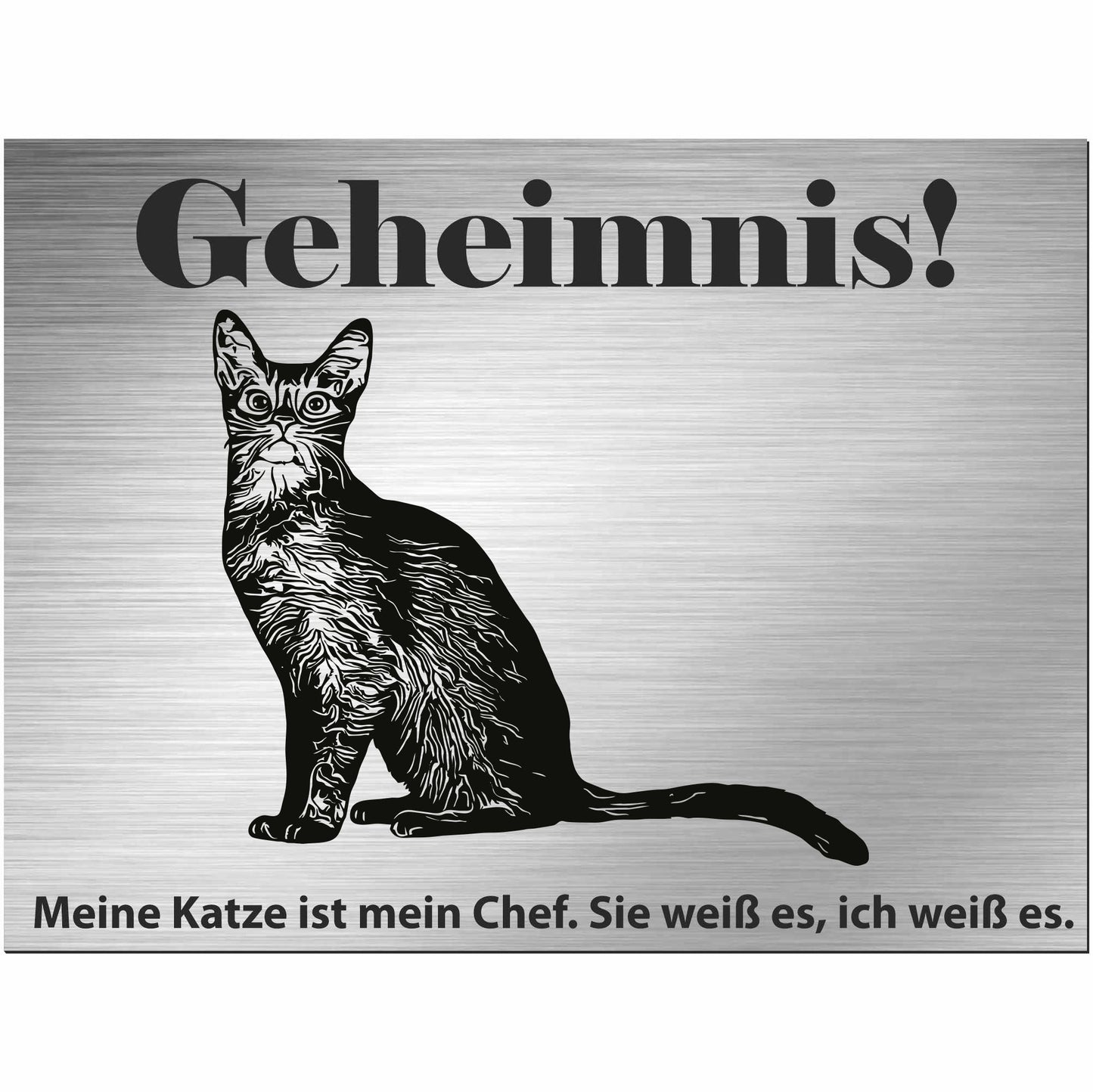 Abessinier Katze - Schild bedruckt - Spruch - Deko Geschenkidee