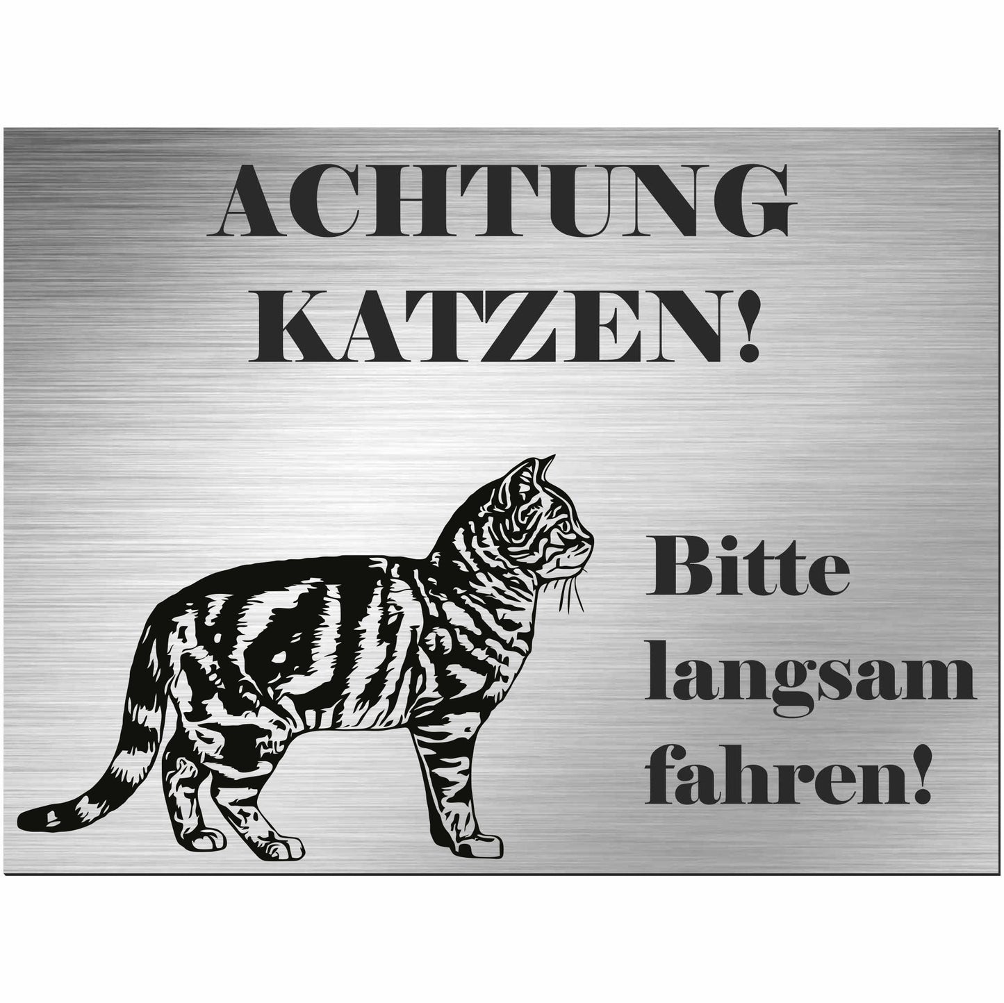 Amerikanische Kurzhaarkatze - Schild bedruckt - Spruch - Deko Geschenkidee