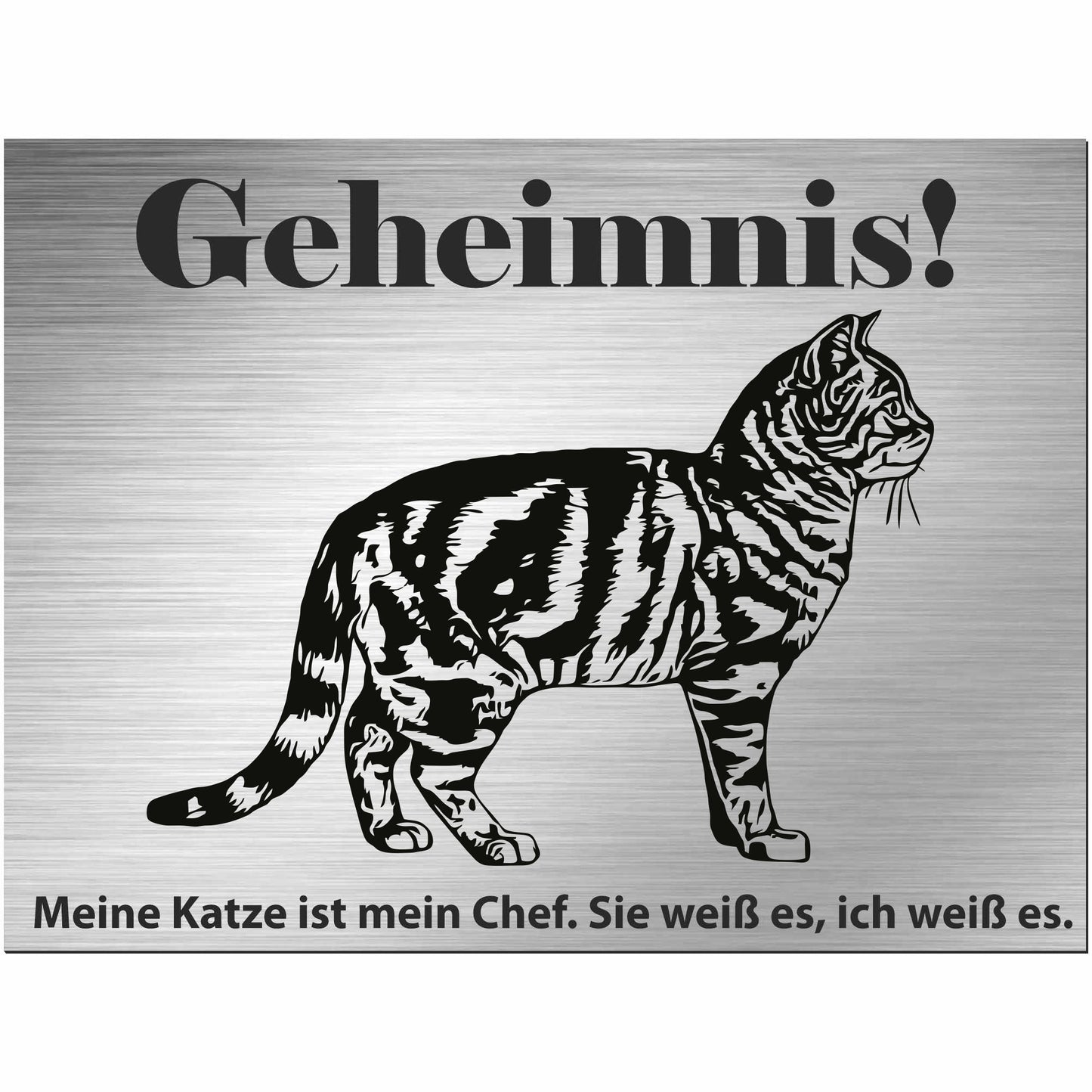 Amerikanische Kurzhaarkatze - Schild bedruckt - Spruch - Deko Geschenkidee