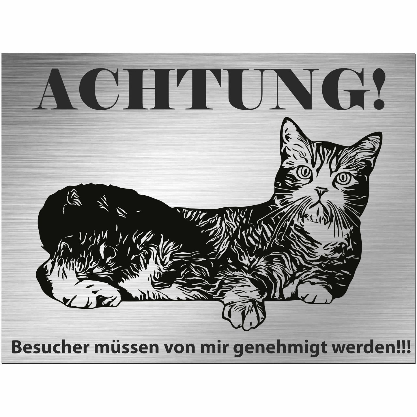 Amerikanische Drahthaarkatze - Schild bedruckt - Spruch - Deko Geschenkidee