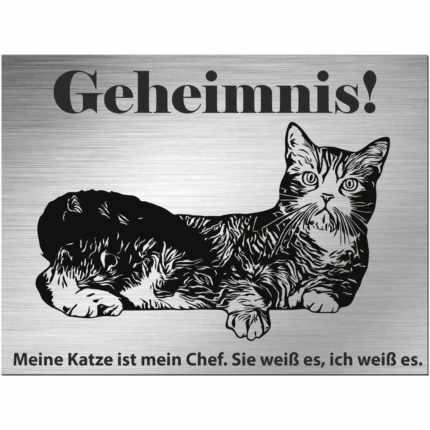 Amerikanische Drahthaarkatze - Schild bedruckt - Spruch - Deko Geschenkidee