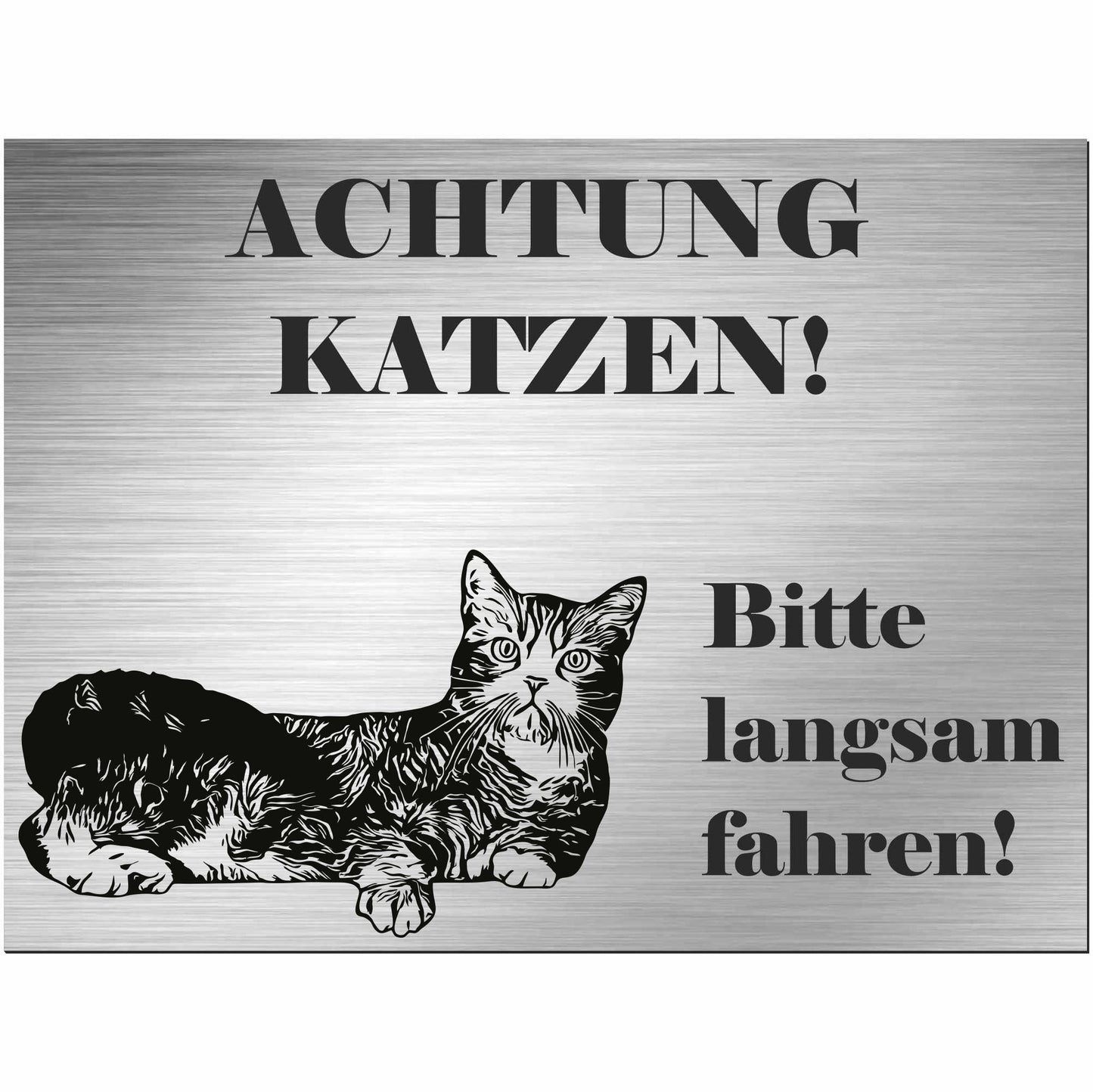 Amerikanische Drahthaarkatze - Schild bedruckt - Spruch - Deko Geschenkidee