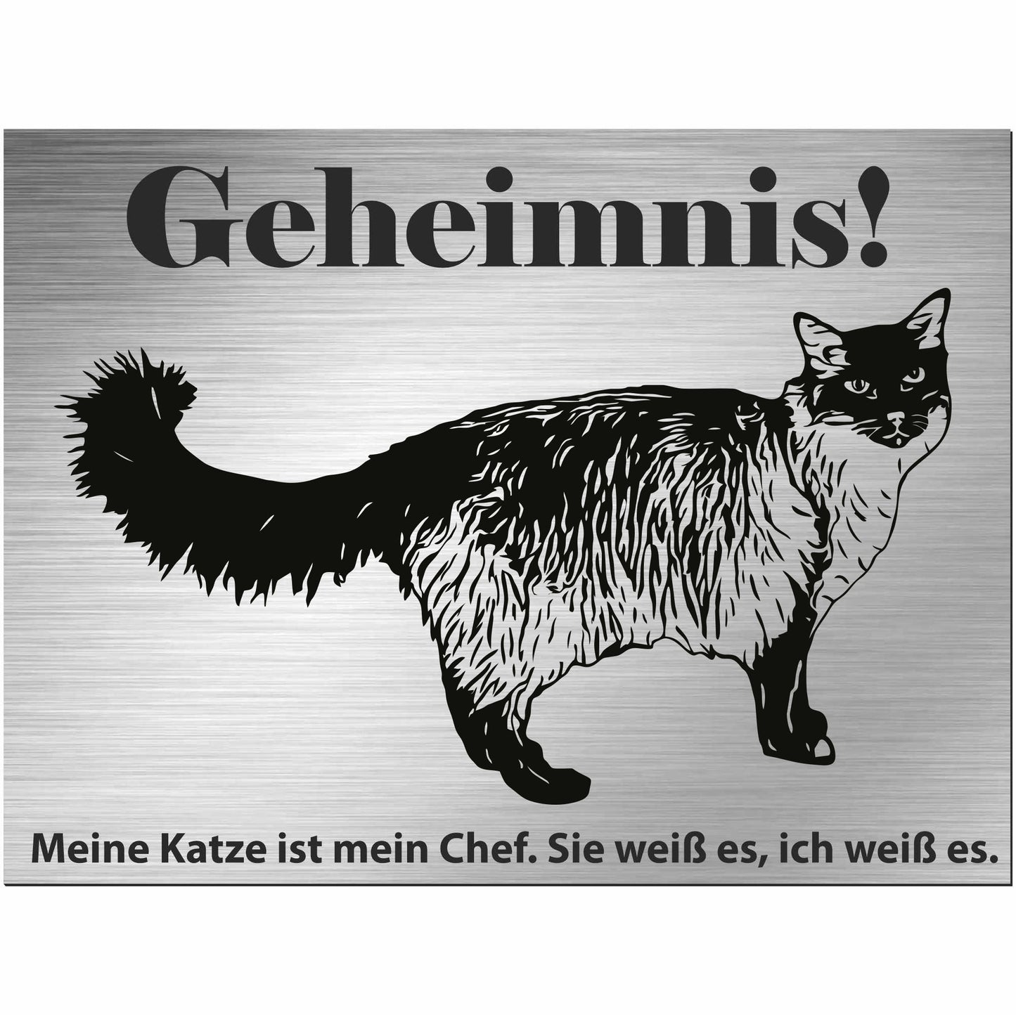 Balinesische Katze - Balineser - Schild bedruckt - Spruch - Deko Geschenkidee