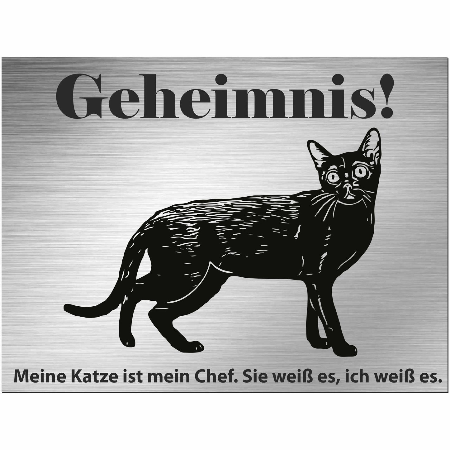 Bombay Katze - Schild bedruckt - Spruch - Deko Geschenkidee