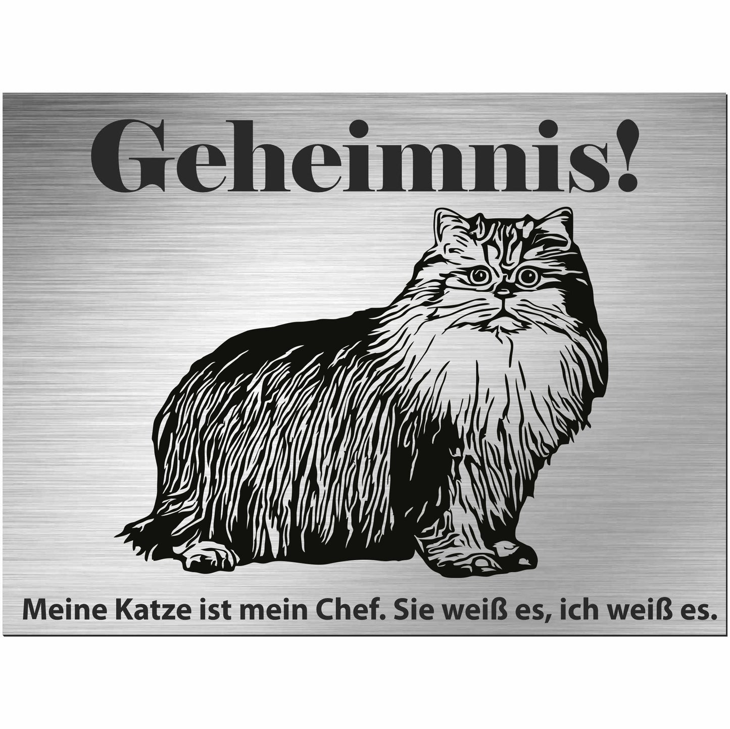 Britische Langhaarkatze - Schild bedruckt - Spruch - Deko Geschenkidee