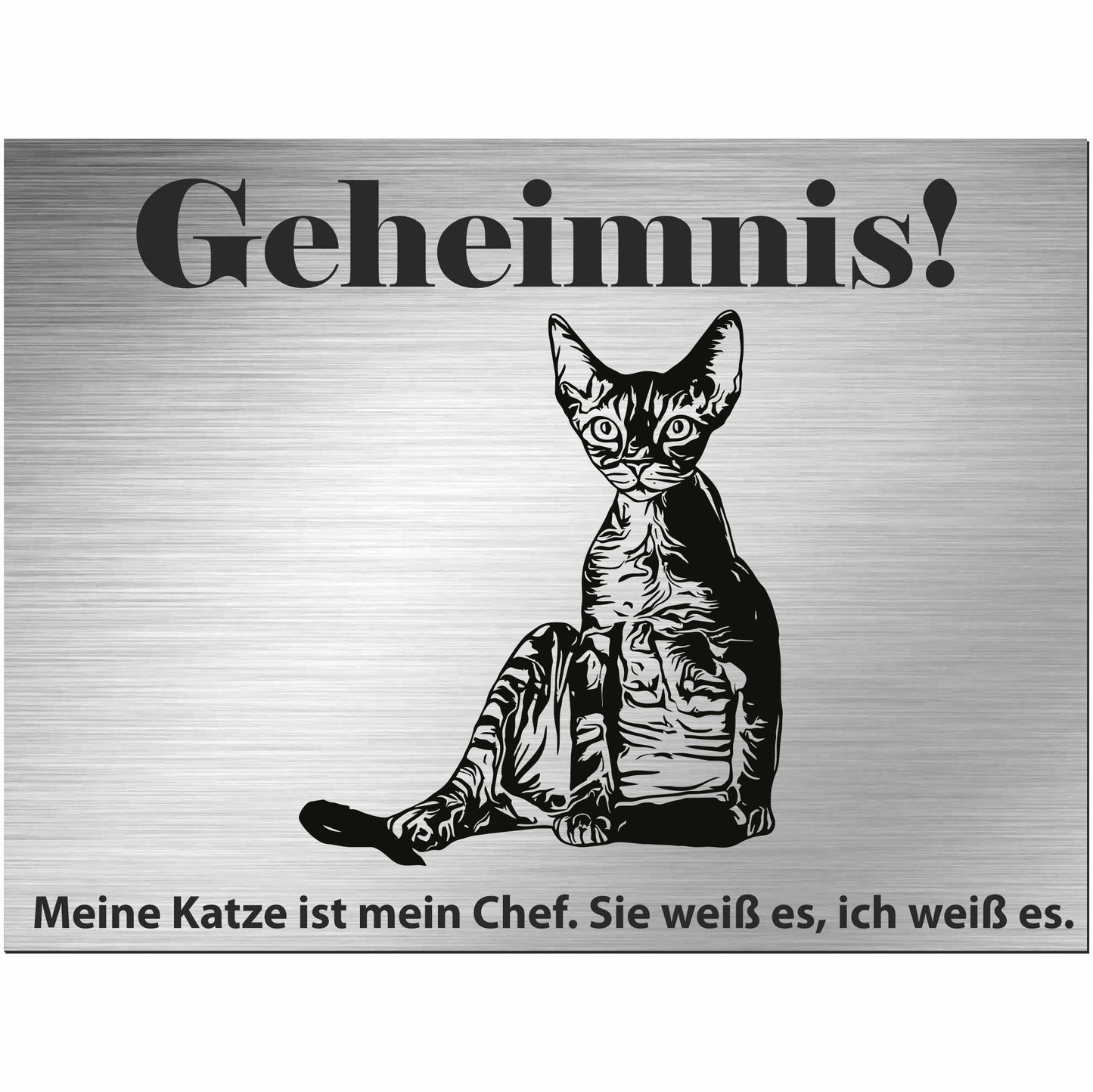Cornish Rex - Schild bedruckt - Spruch - Deko Geschenkidee