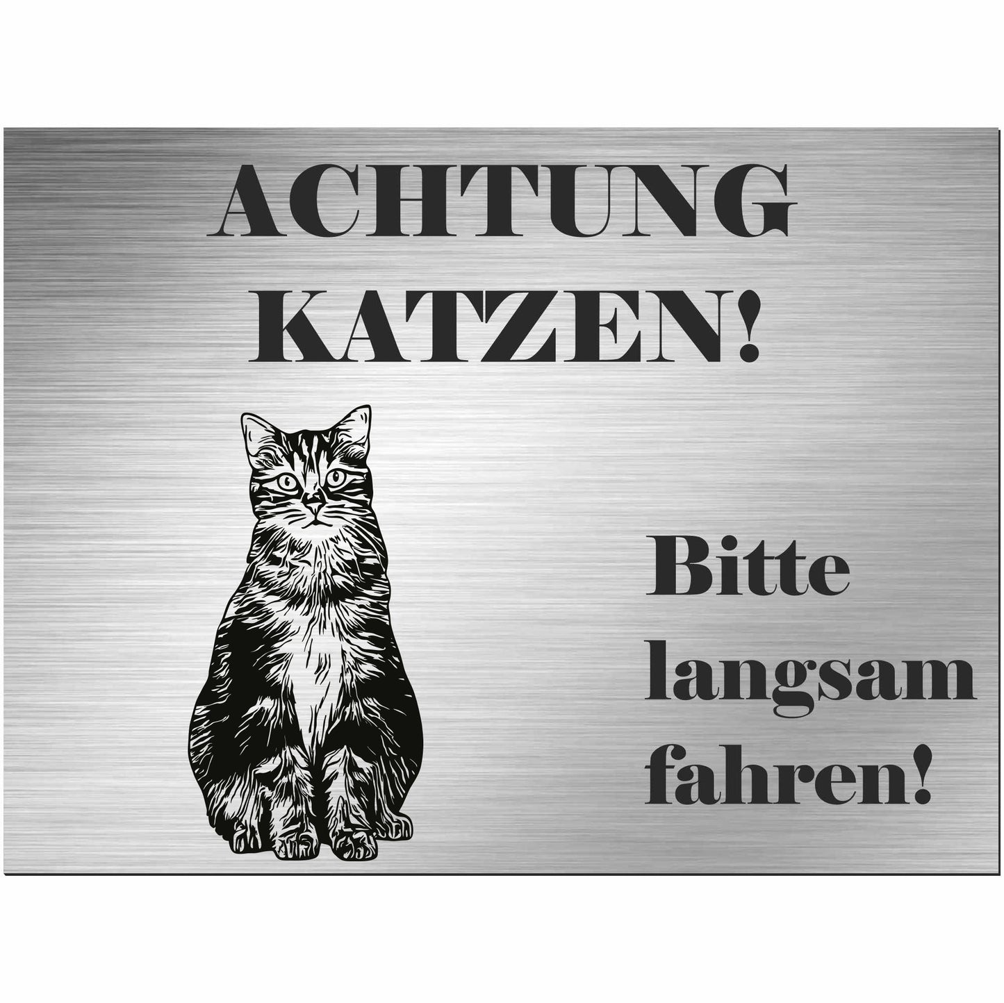Europäische Kurzhaarkatze - Schild bedruckt - Spruch - Deko Geschenkidee