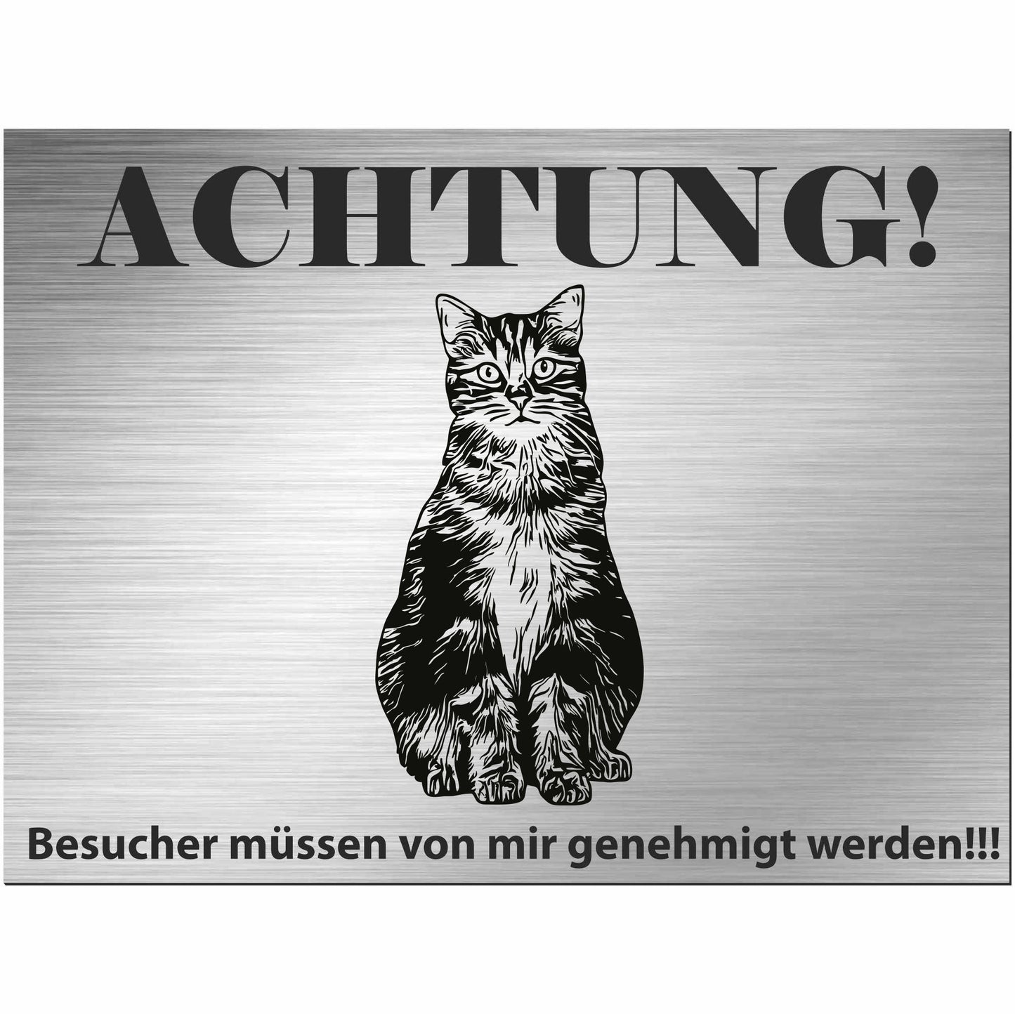 Europäische Kurzhaarkatze - Schild bedruckt - Spruch - Deko Geschenkidee