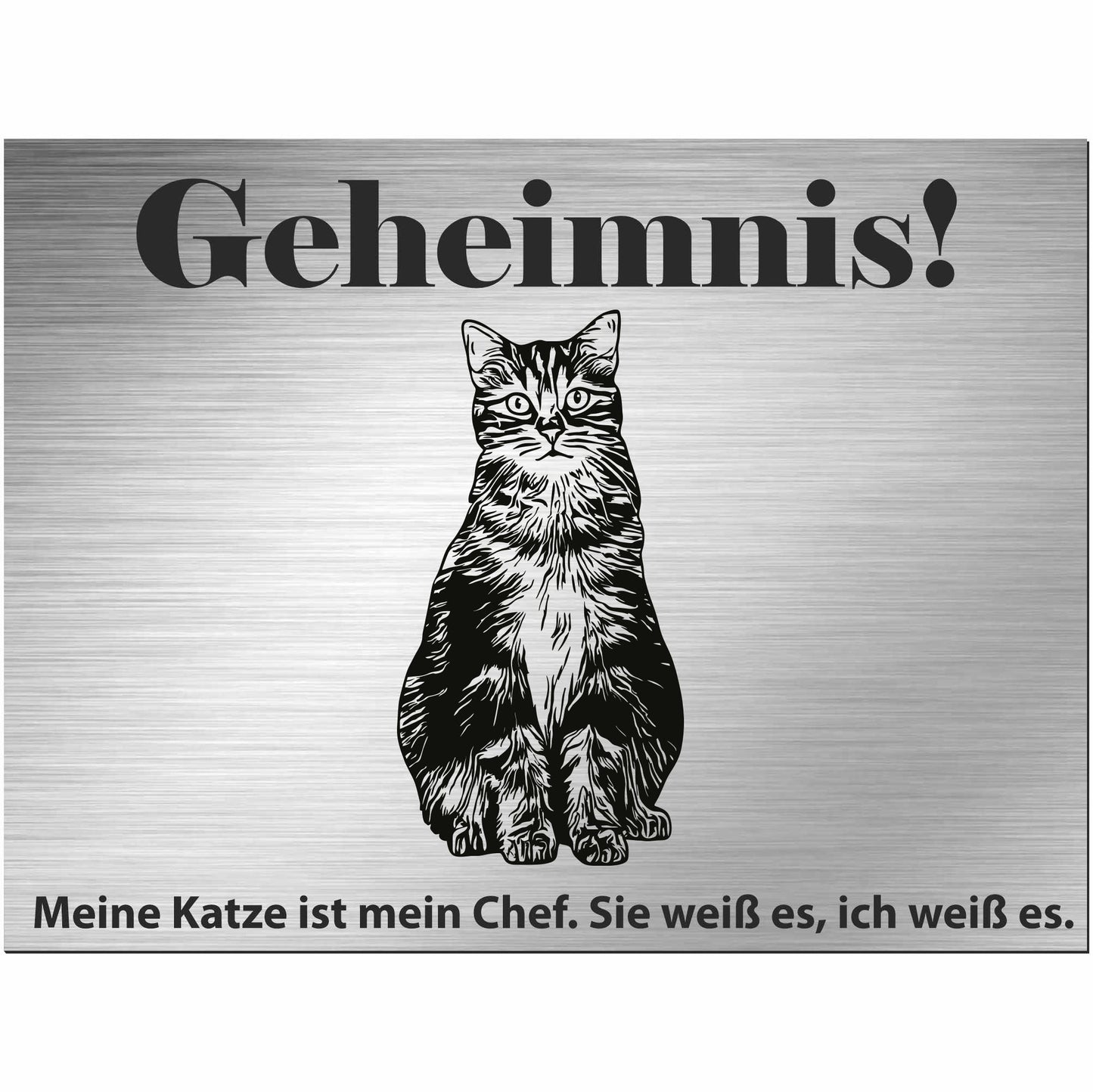 Europäische Kurzhaarkatze - Schild bedruckt - Spruch - Deko Geschenkidee