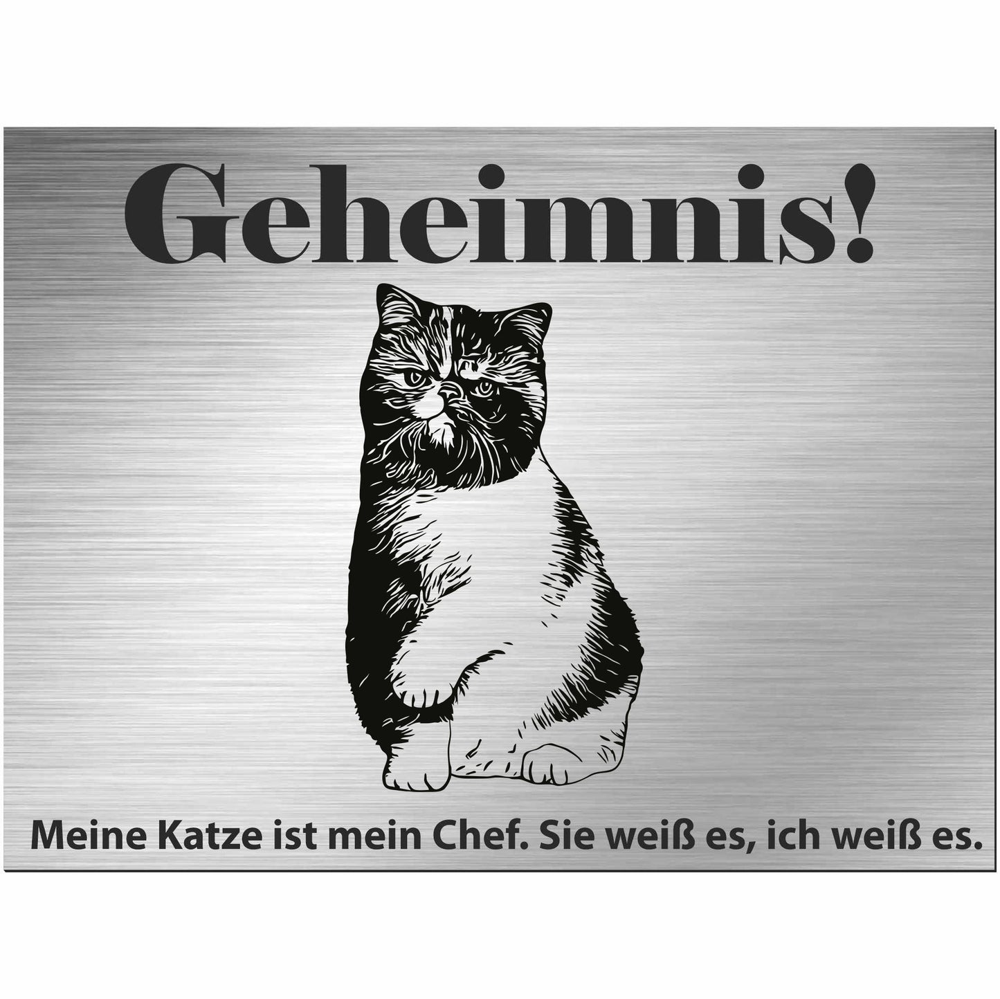 Exotische Kurzhaarkatze - Schild bedruckt - Spruch - Deko Geschenkidee