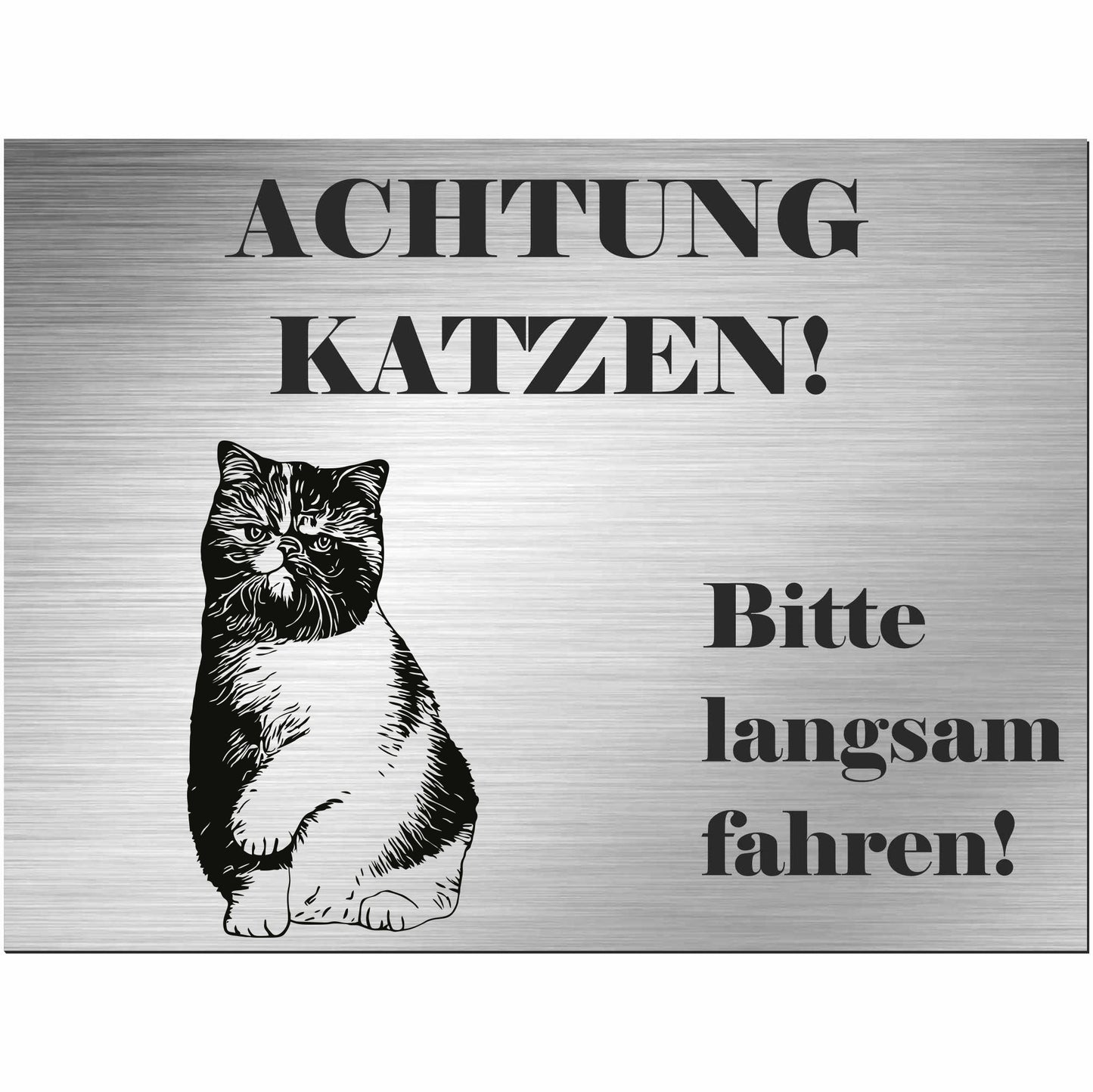 Exotische Kurzhaarkatze - Schild bedruckt - Spruch - Deko Geschenkidee
