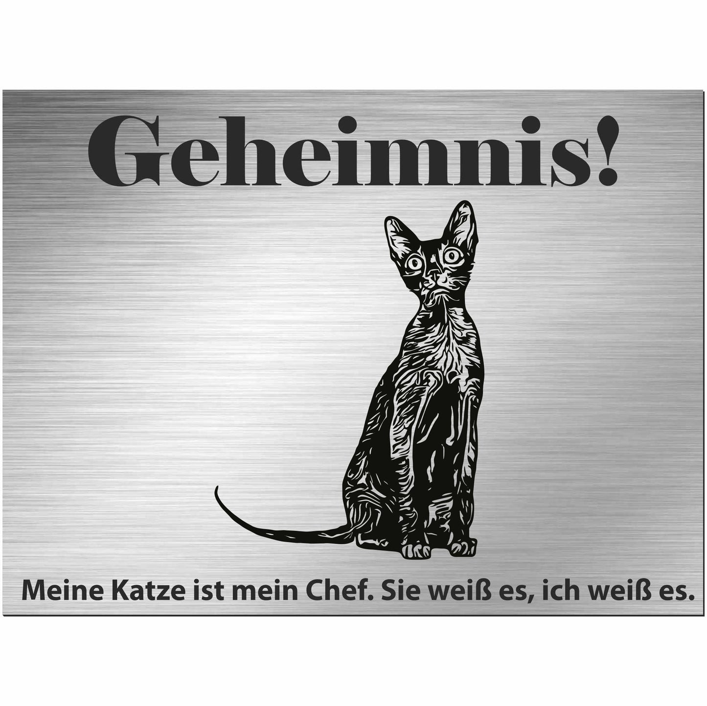 Lykoi Katze - Schild bedruckt - Spruch - Deko Geschenkidee