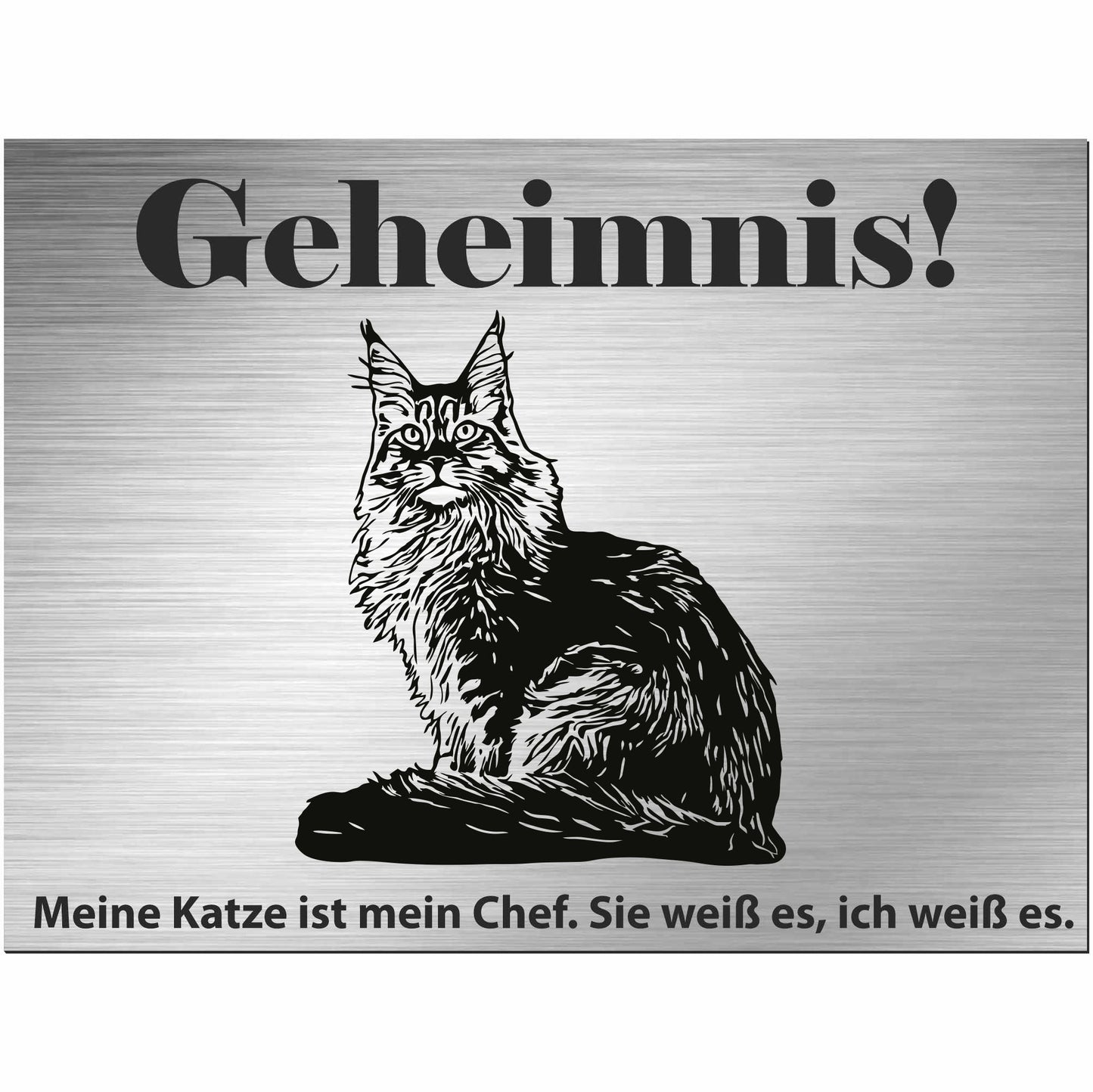 Amerikanische Waldkatze - Schild bedruckt - Spruch - Deko Geschenkidee