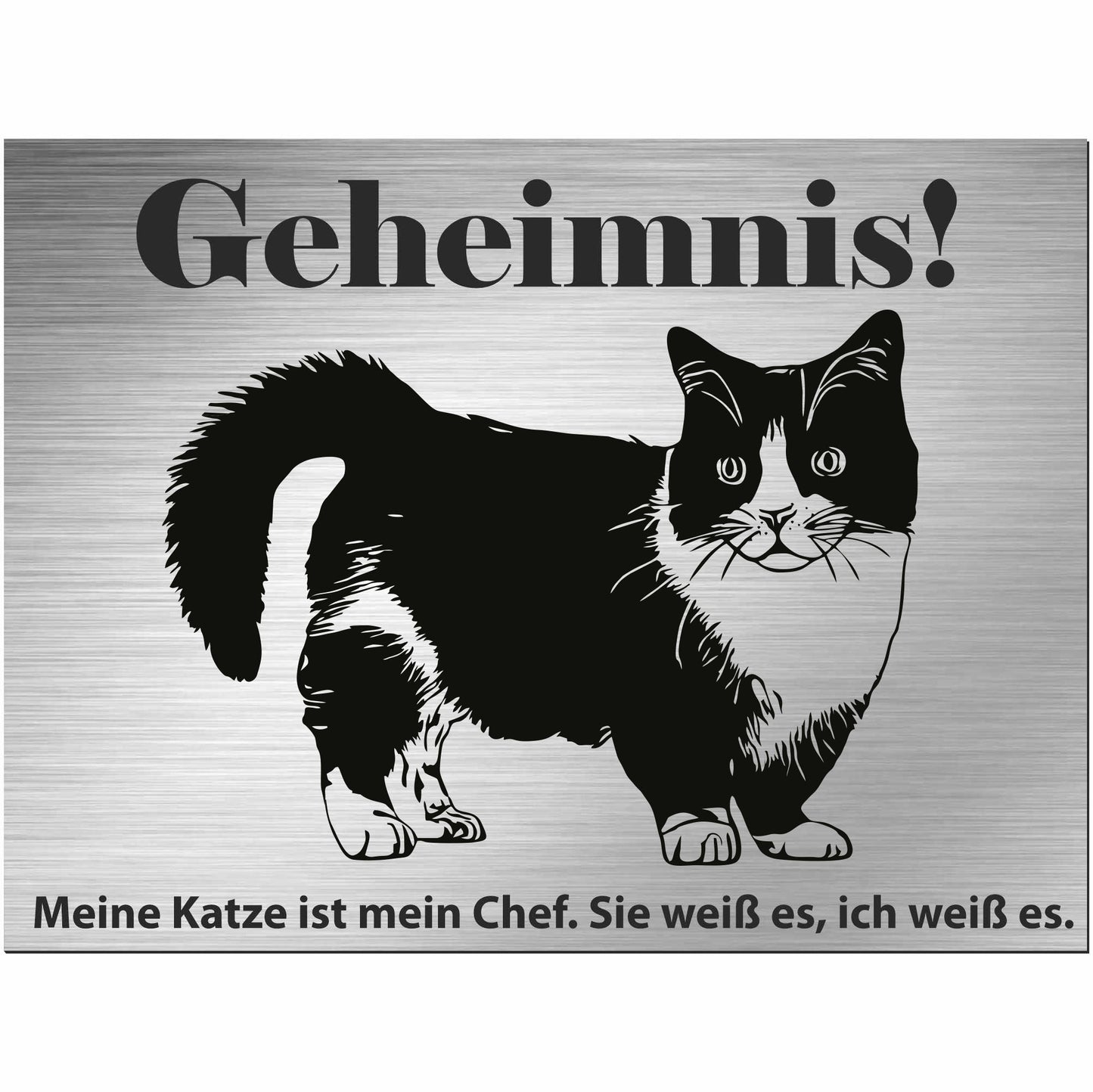 Munchkin Katze - Schild bedruckt - Spruch - Deko Geschenkidee