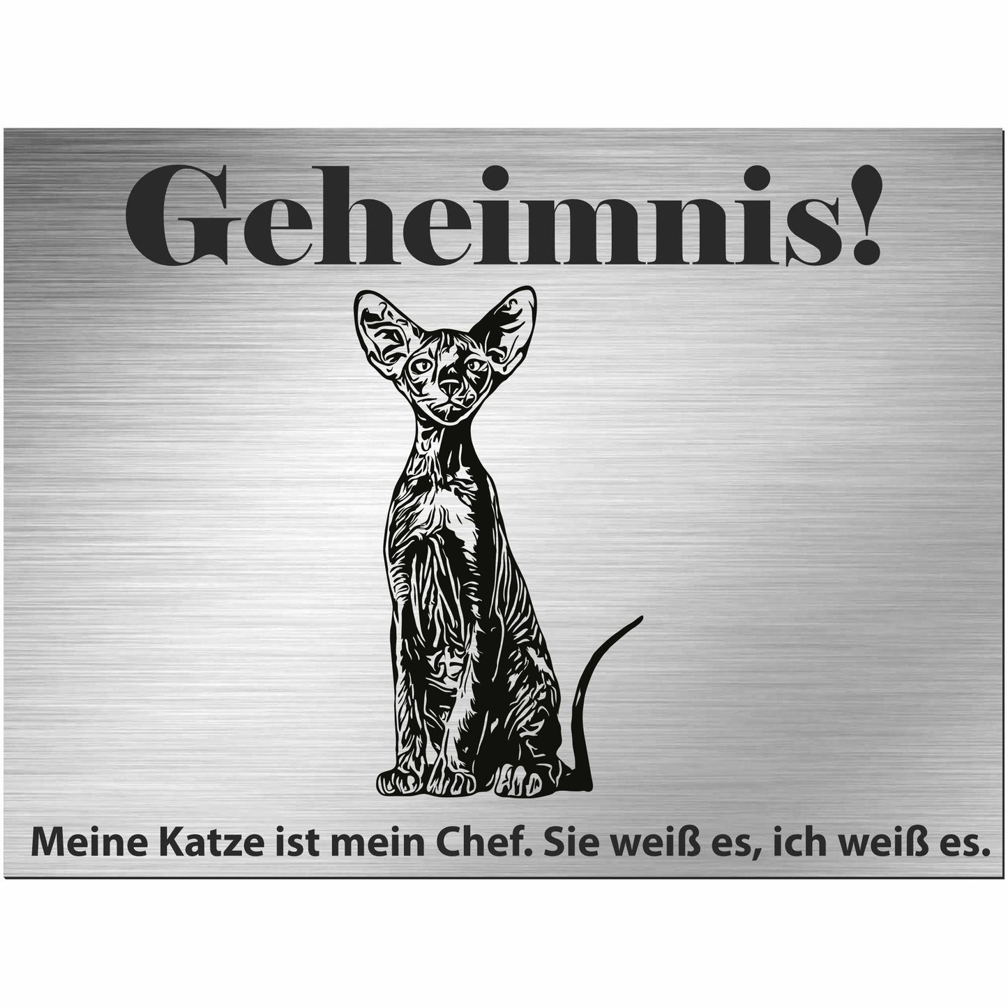 Peterbald Katze - Schild bedruckt - Spruch - Deko Geschenkidee