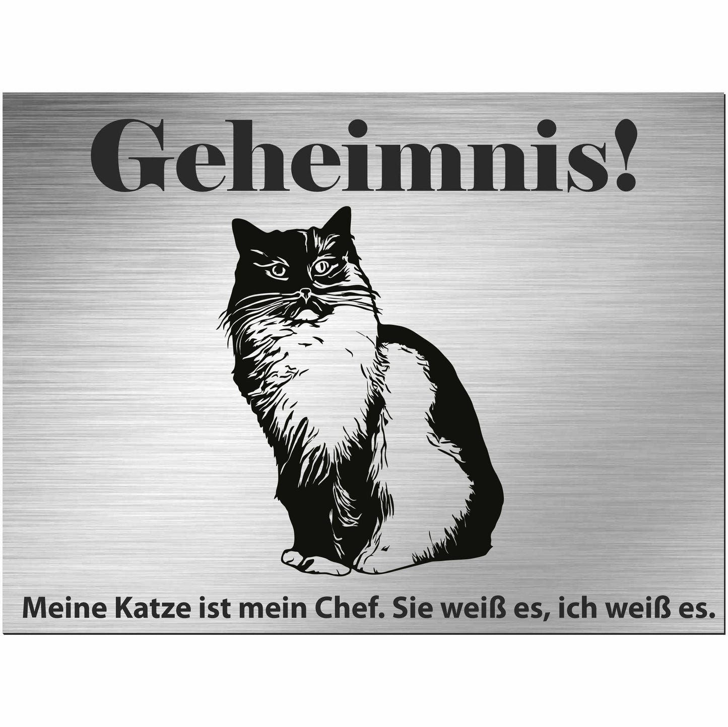 Ragdoll Katze - Schild bedruckt - Spruch - Deko Geschenkidee