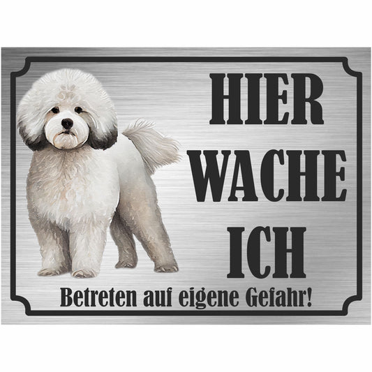Bichon Frisé - Schild bedruckt - Hier wache ich - Aluverbundplatte Edelstahl Look
