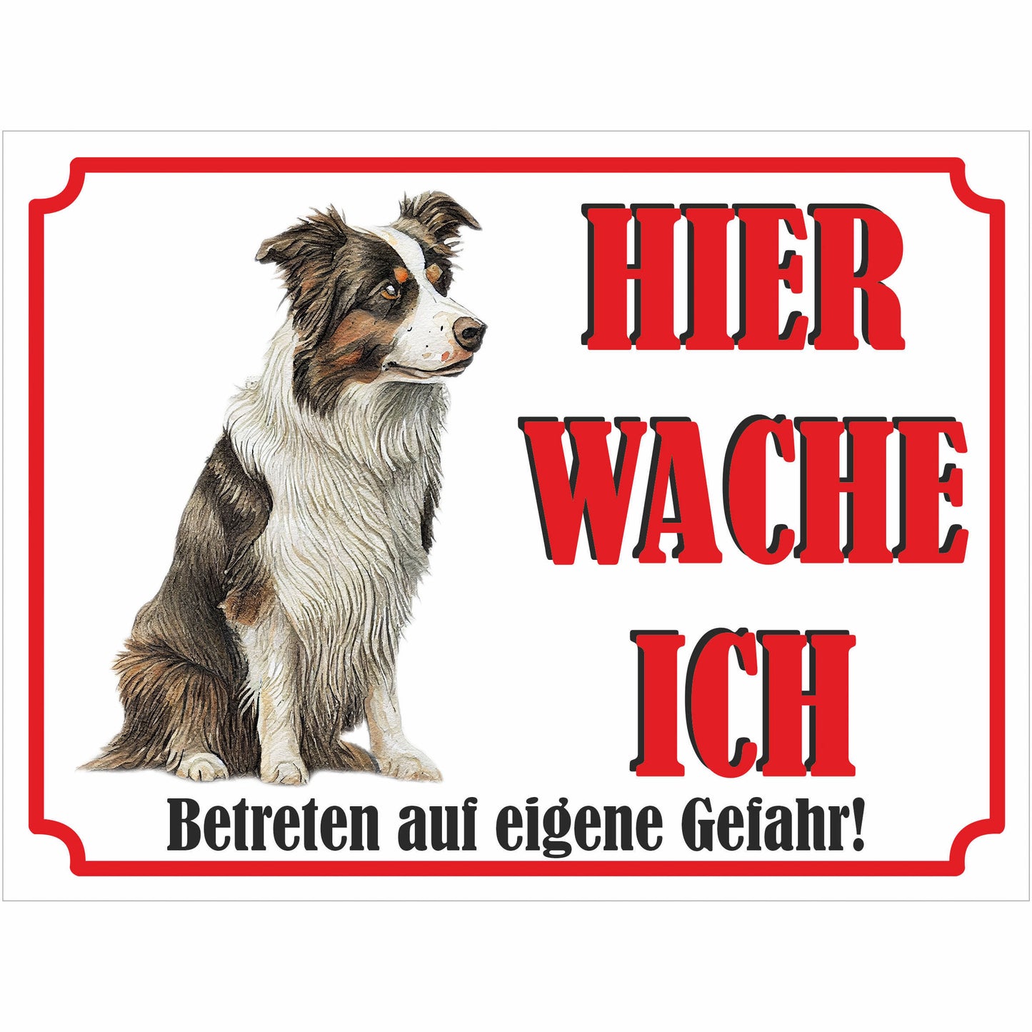 Border Collie - Schild bedruckt - Hier wache ich - Aluverbundplatte Edelstahl Look
