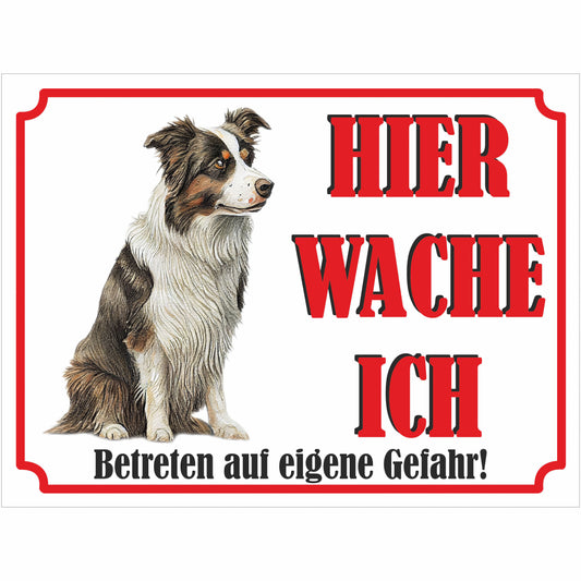 Border Collie - Schild bedruckt - Hier wache ich - Aluverbundplatte Edelstahl Look