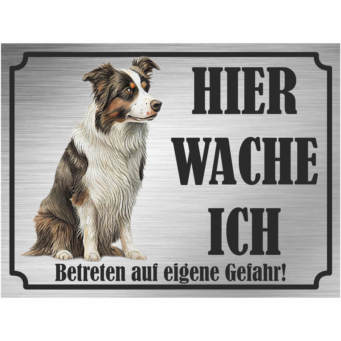 Border Collie - Schild bedruckt - Hier wache ich - Aluverbundplatte Edelstahl Look