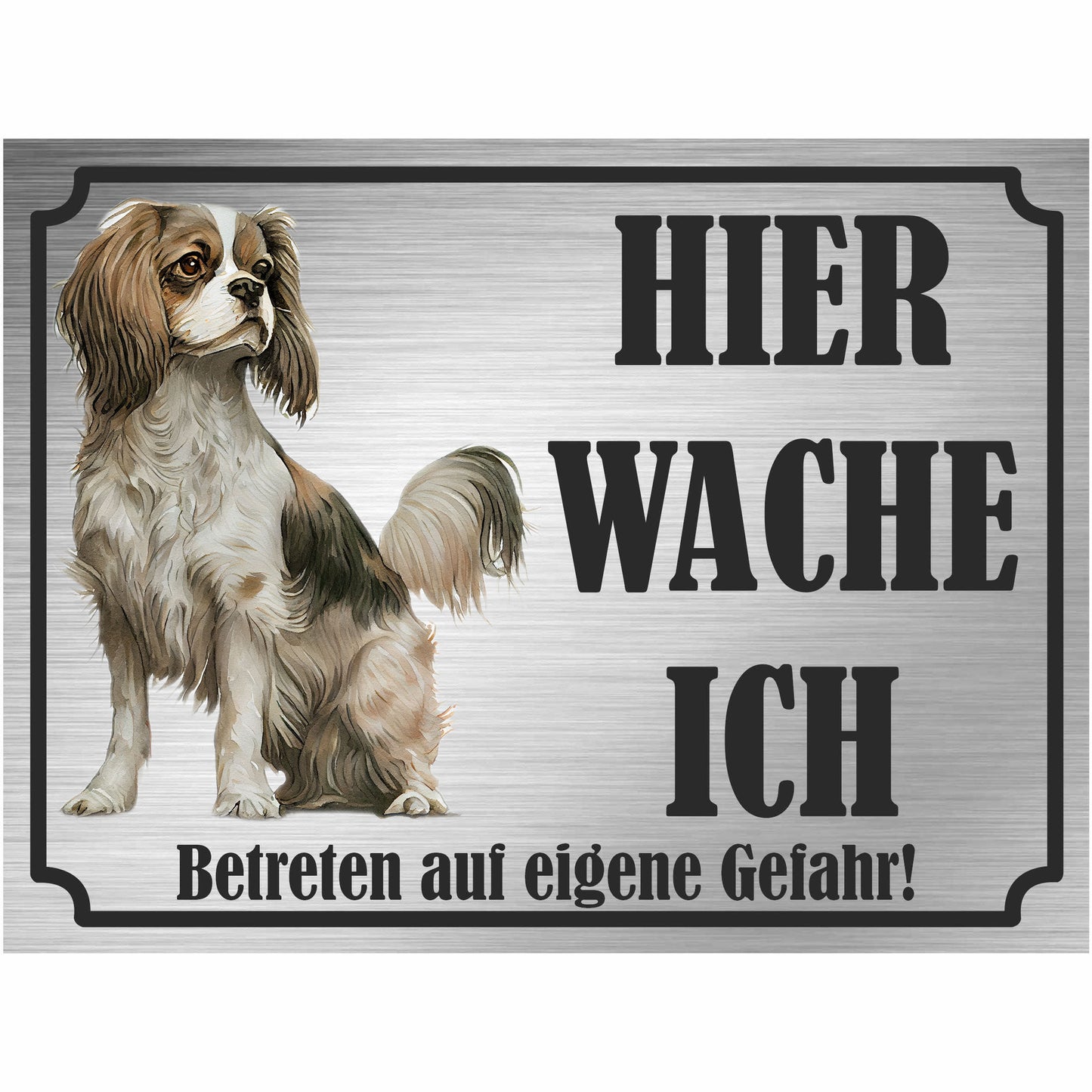 Cavalier King Charles Spaniel - Schild bedruckt - Hier wache ich - Aluverbundplatte Edelstahl Look