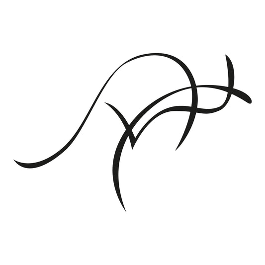 Autoaufkleber - Känguruh in Australien - 180x120 mm