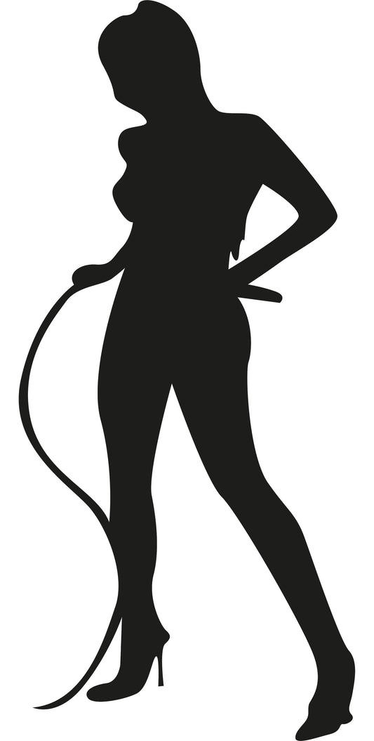 Autoaufkleber - Domina - 110x50 mm