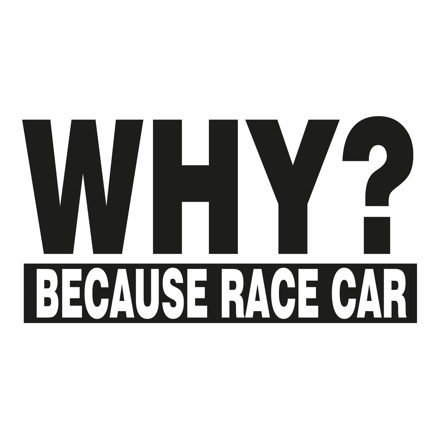 Autoaufkleber - Why Because Race Car 210x110mm