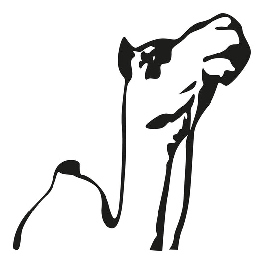 Autoaufkleber - Camel - 210x210mm