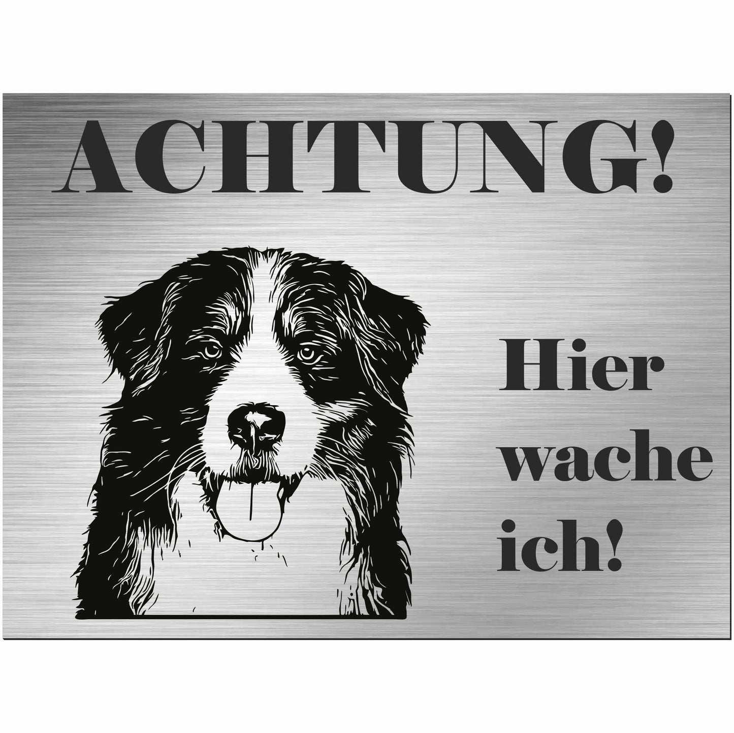 Berner Sennenhund - Schild bedruckt - Alu-Dibond Edelstahl Look