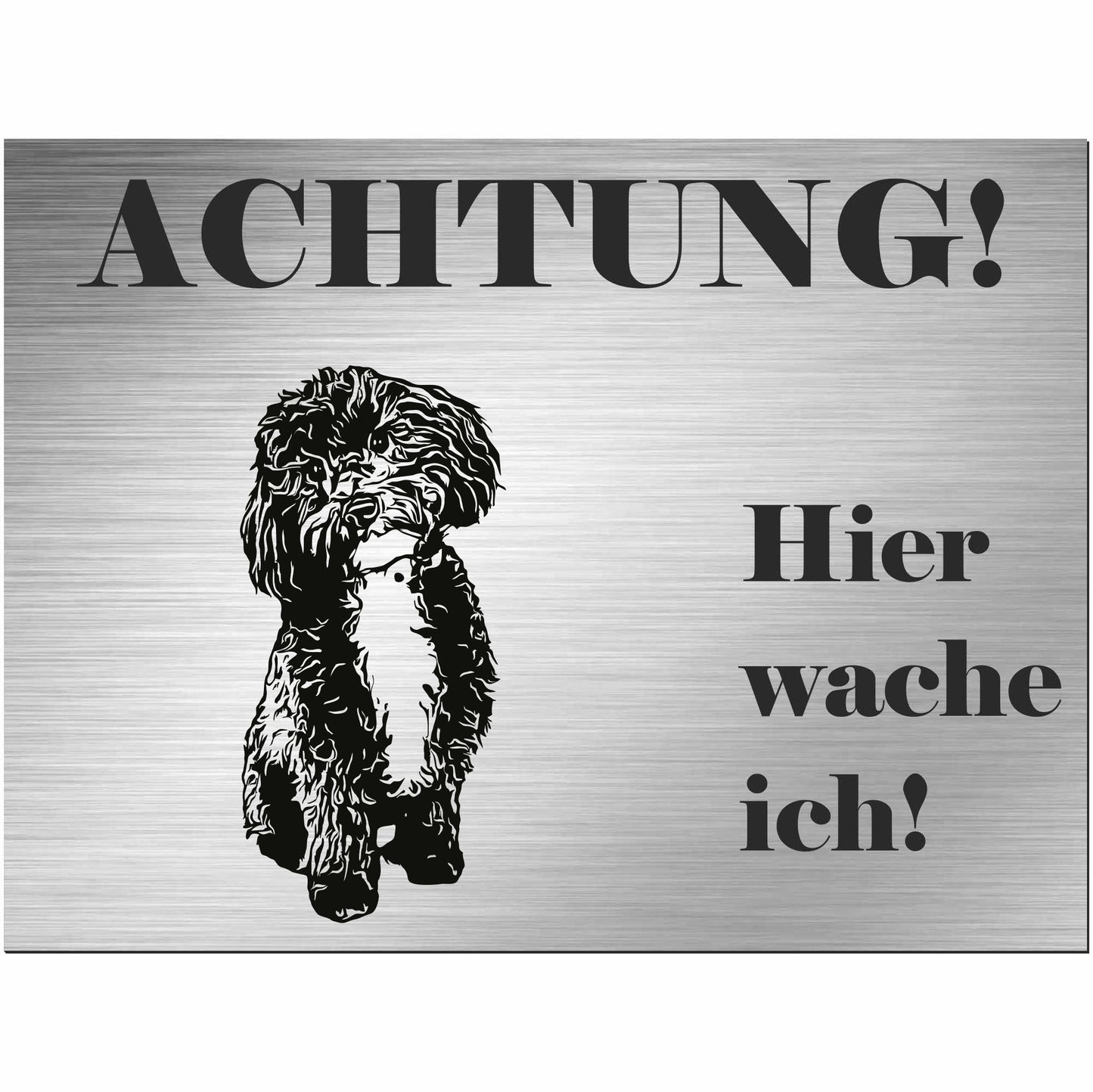 Bichon Frisé - Schild bedruckt - Alu-Dibond Edelstahl Look