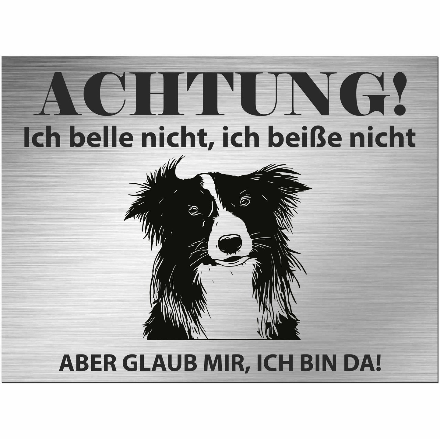 Border Collie - Schild bedruckt - Alu-Dibond Edelstahl Look