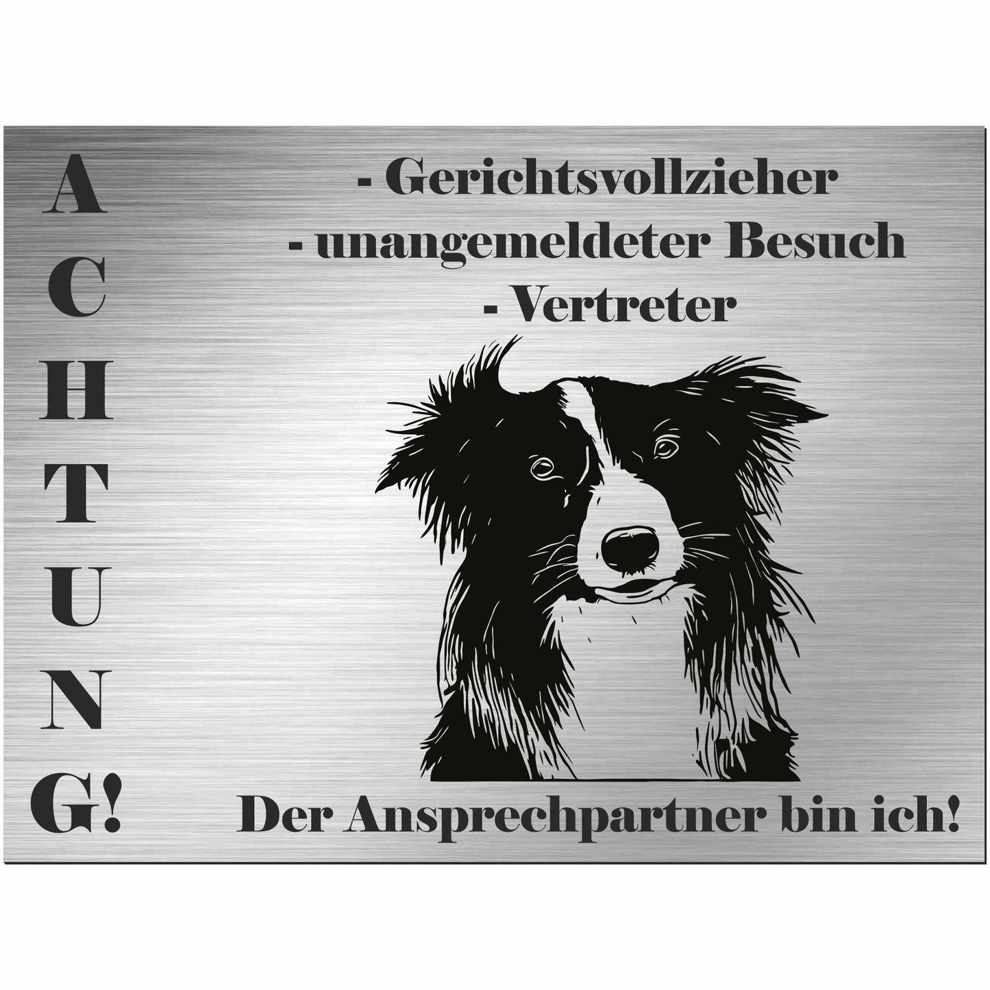 Border Collie - Schild bedruckt - Alu-Dibond Edelstahl Look