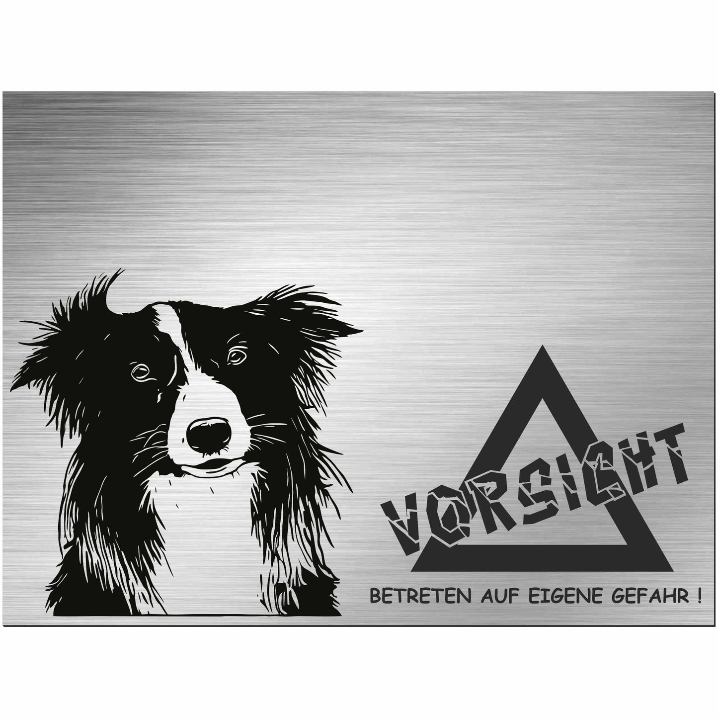 Border Collie - Schild bedruckt - Alu-Dibond Edelstahl Look