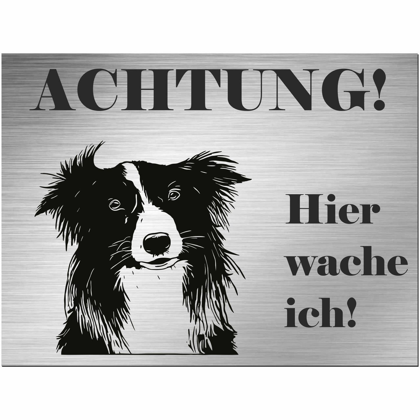 Border Collie - Schild bedruckt - Alu-Dibond Edelstahl Look