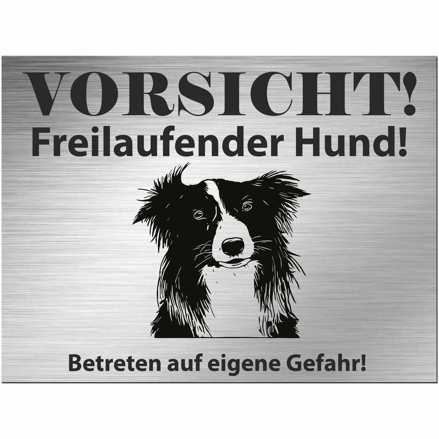 Border Collie - Schild bedruckt - Alu-Dibond Edelstahl Look