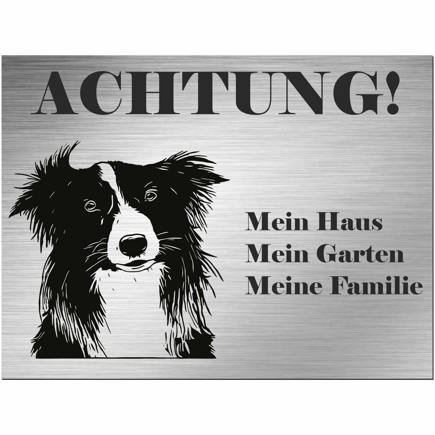 Border Collie - Schild bedruckt - Alu-Dibond Edelstahl Look