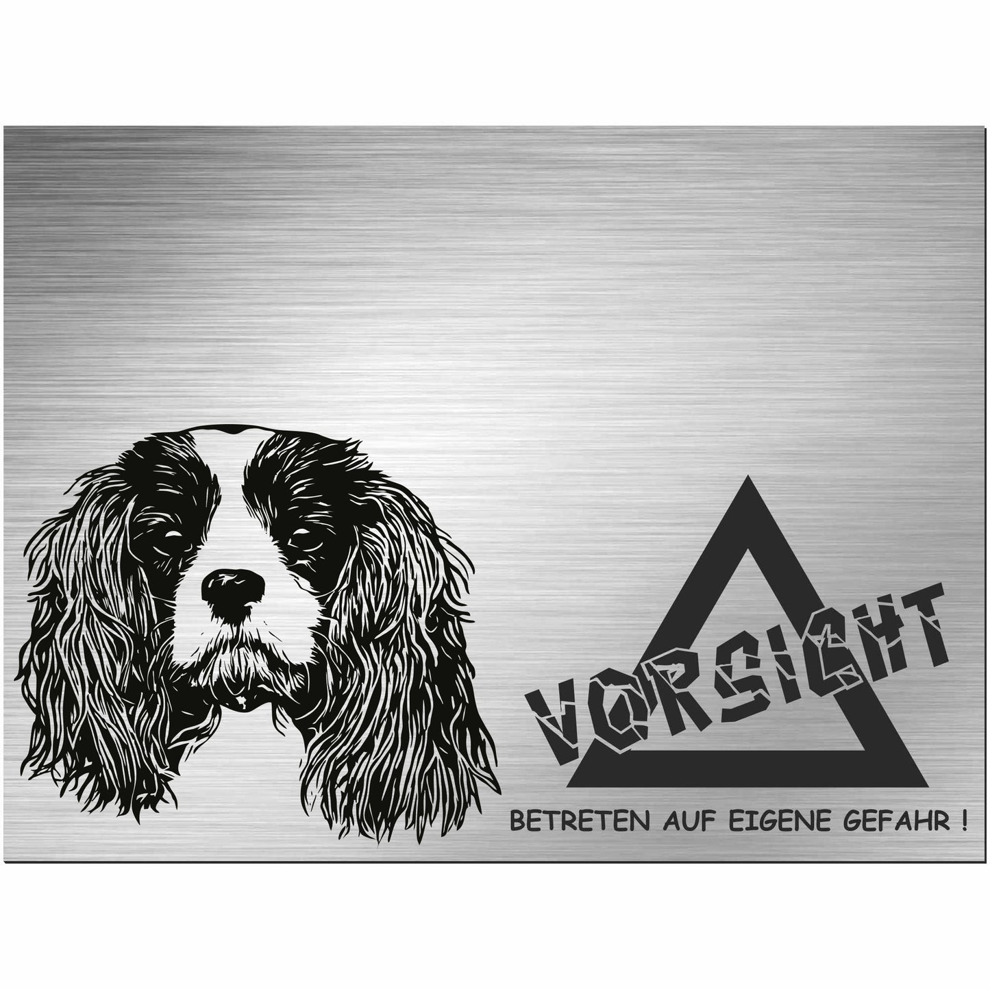Cavalier King Charles Spaniel - Schild bedruckt - Alu-Dibond Edelstahl Look