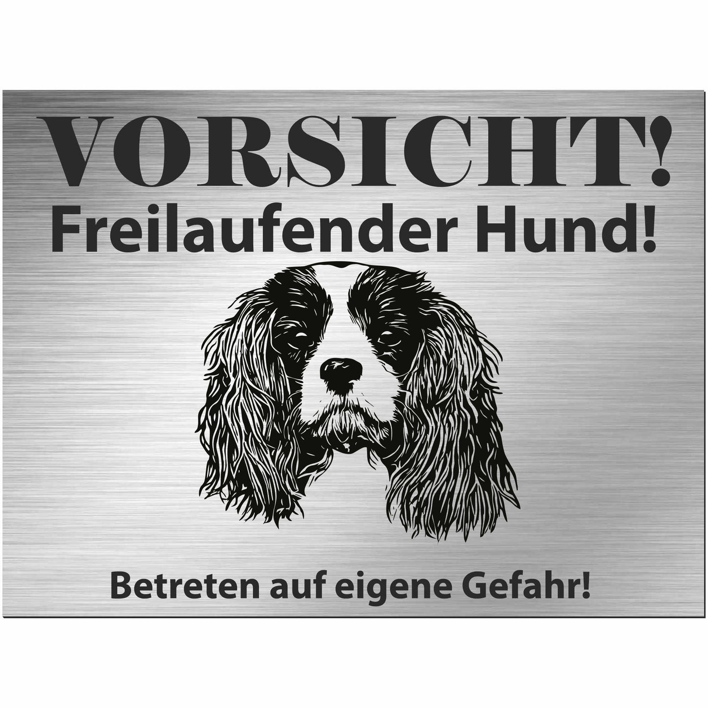 Cavalier King Charles Spaniel - Schild bedruckt - Alu-Dibond Edelstahl Look
